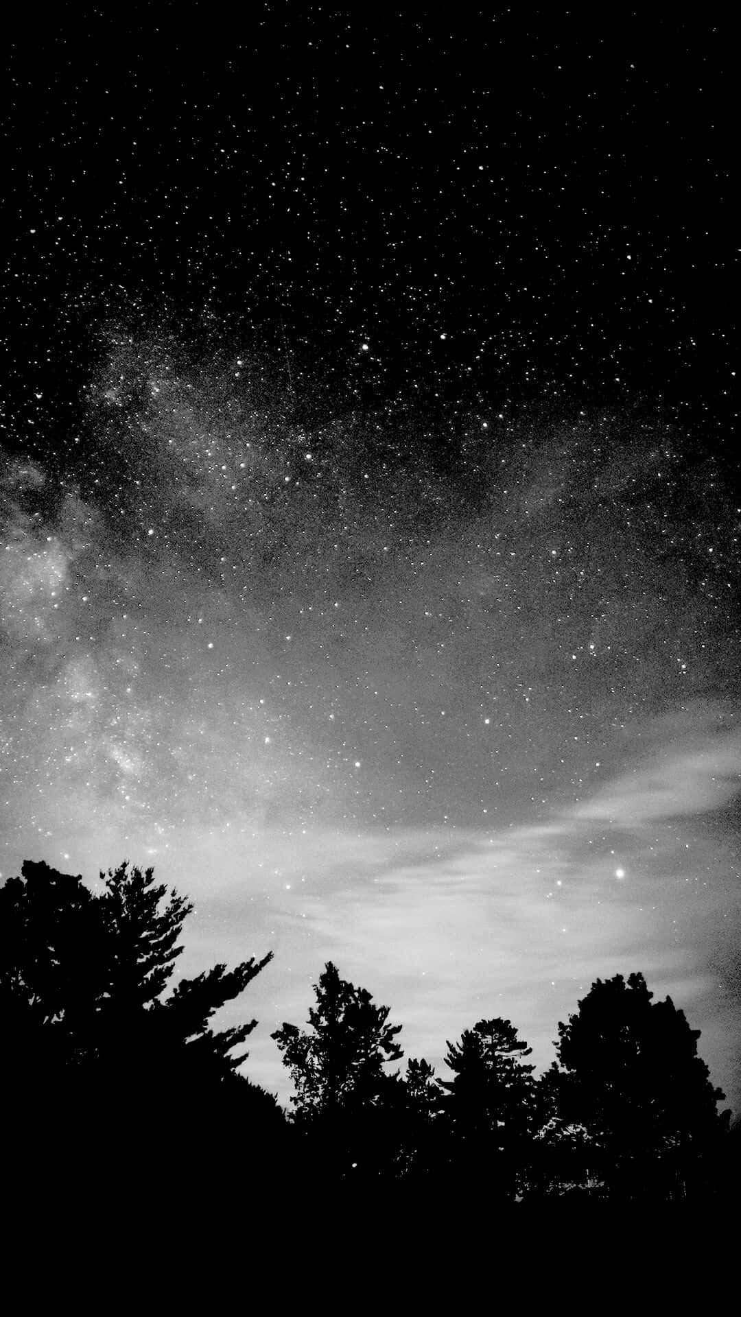 Starry Sky 桌布 壁紙 — 令人嘆為觀止的黑白夜空，充滿無數星星，銀河在松樹剪影上方拱起。