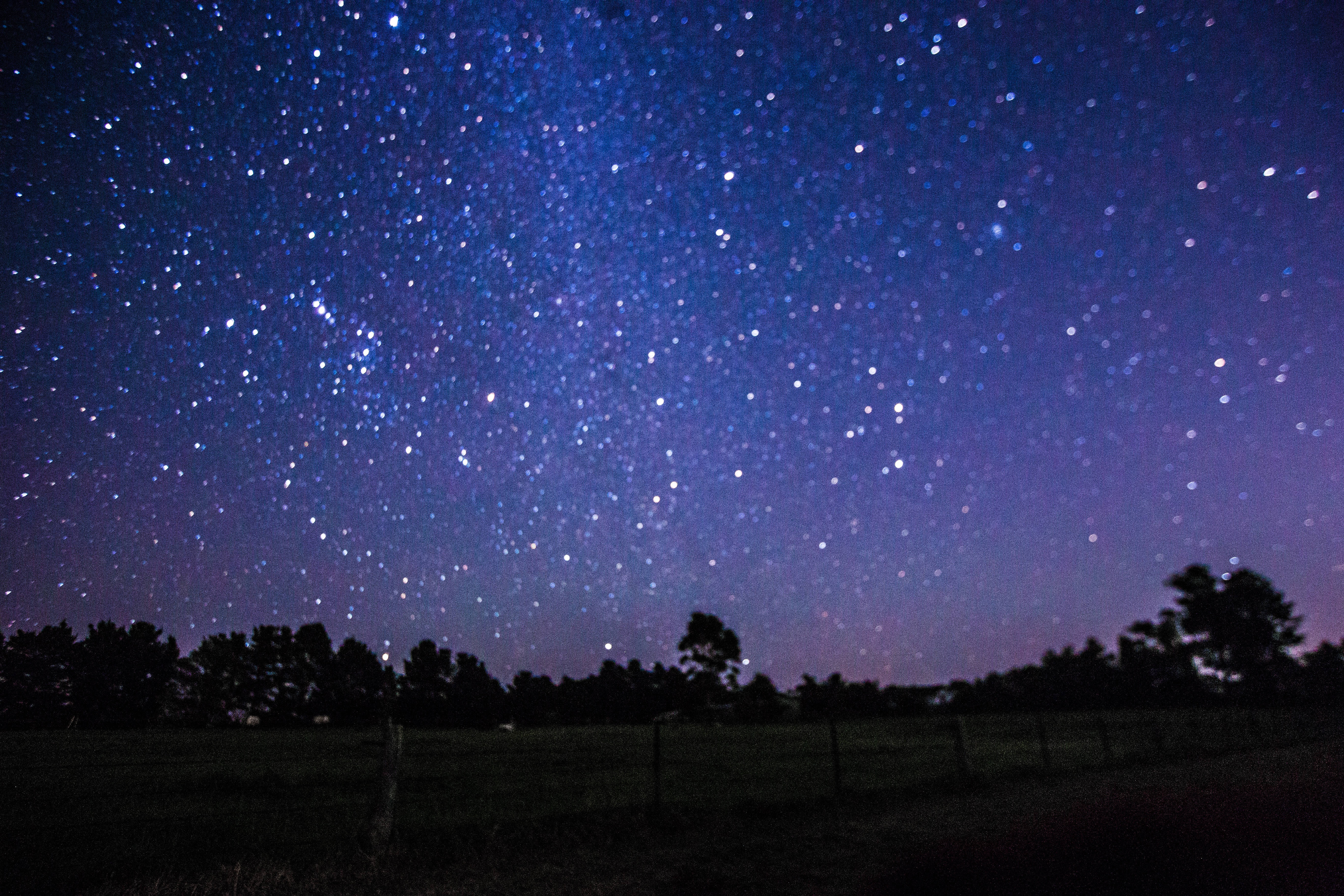 閃爍 桌布 壁紙 — 令人屏息的夜空，佈滿無數星星和淡淡的銀河，拱形在黑暗的田野和樹木剪影之上。