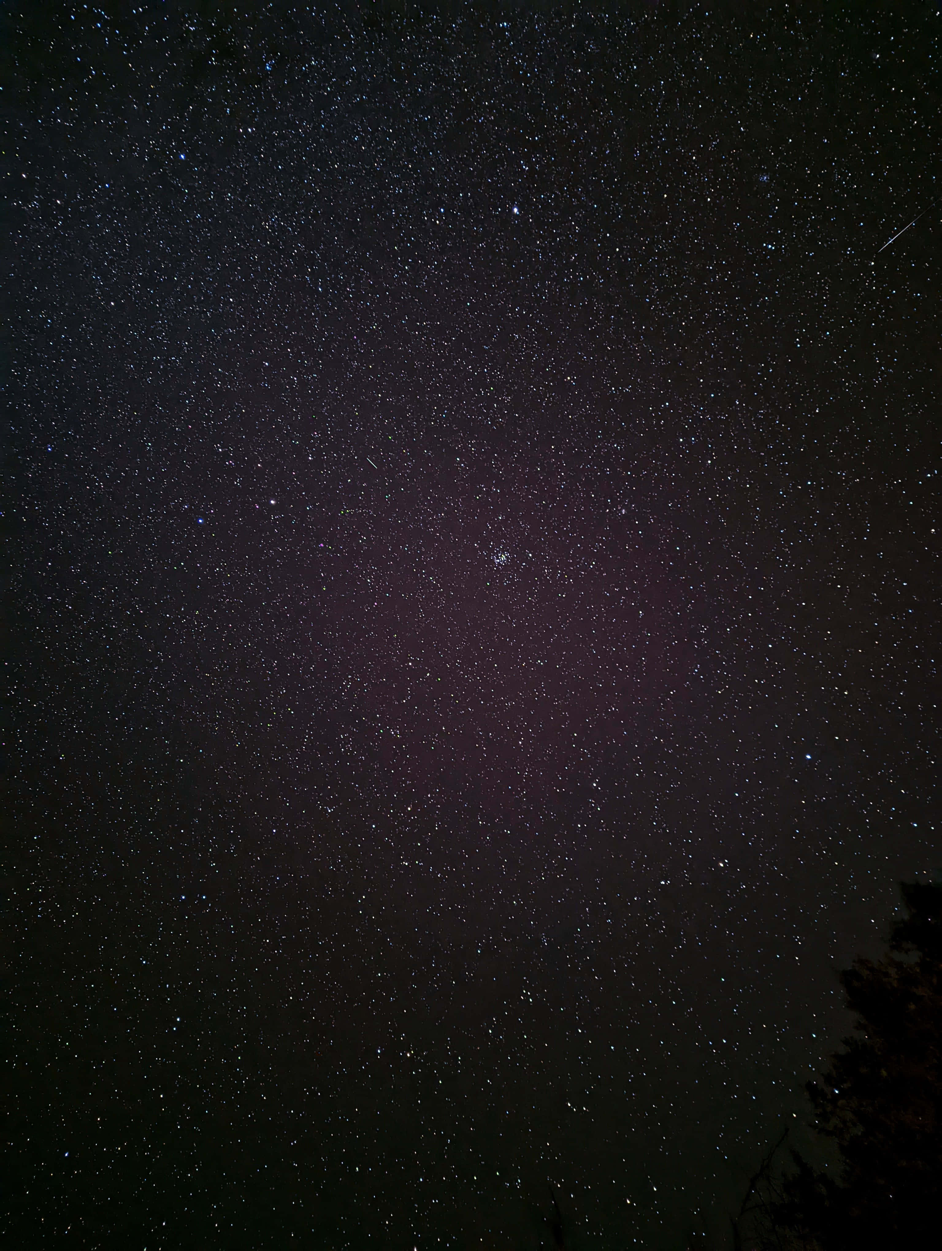 夜空 桌布 壁紙 — 令人屏息的夜空，充滿無數星星，在剪影般的樹枝上方泛著淡淡的紫色光芒。