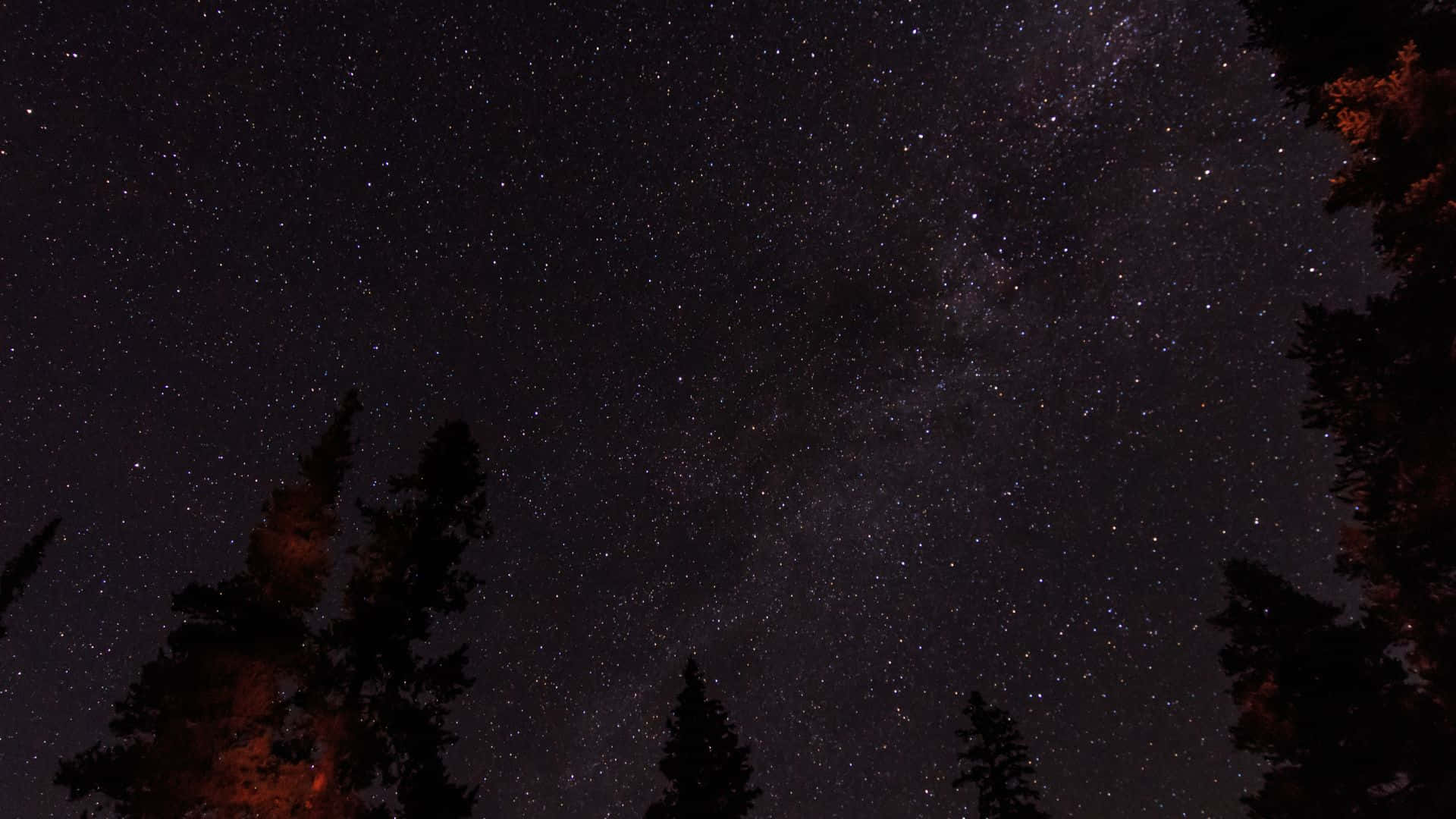 星空動畫 桌布 壁紙 — 令人屏息的夜空，充滿無數星星，銀河在溫暖發光的松樹剪影上方拱起。
