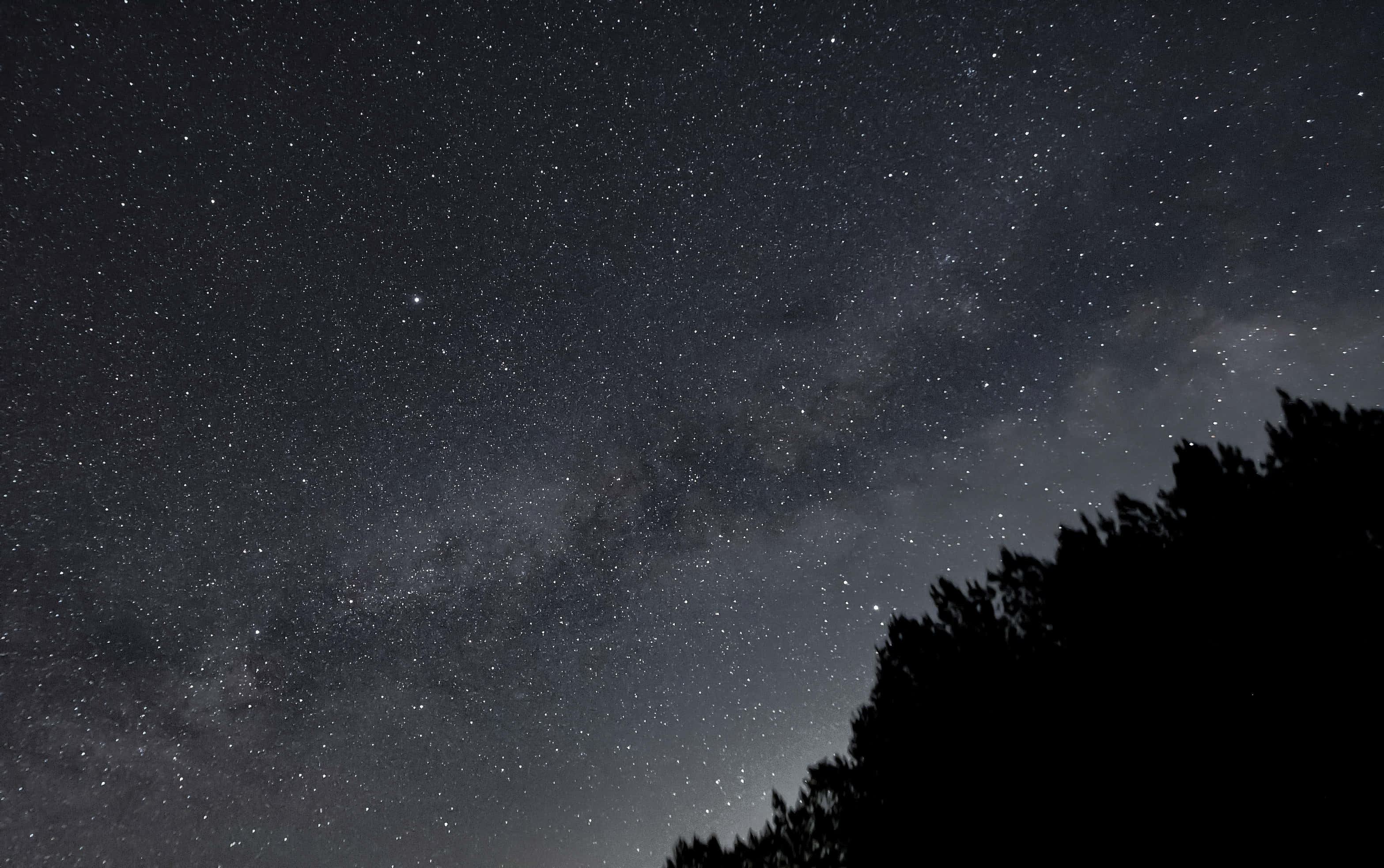 夜空 桌布 壁紙 — 令人屏息的夜空，充滿無數星星和銀河，在樹梢的黑暗剪影上拱起。