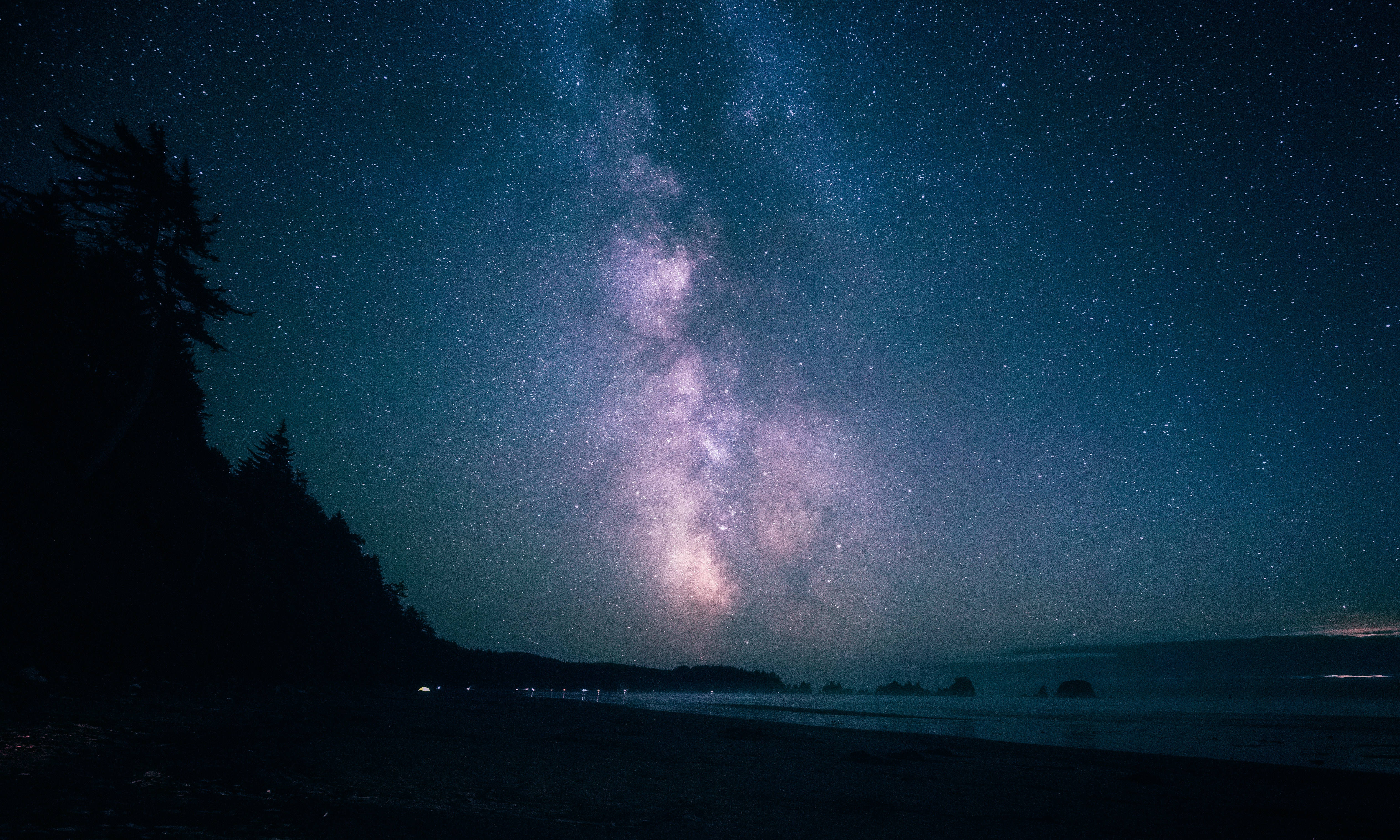 閃爍 桌布 壁紙 — 令人屏息的夜空，滿天繁星和銀河拱起在黑暗的海灘上，有剪影樹木和遠處的燈光。