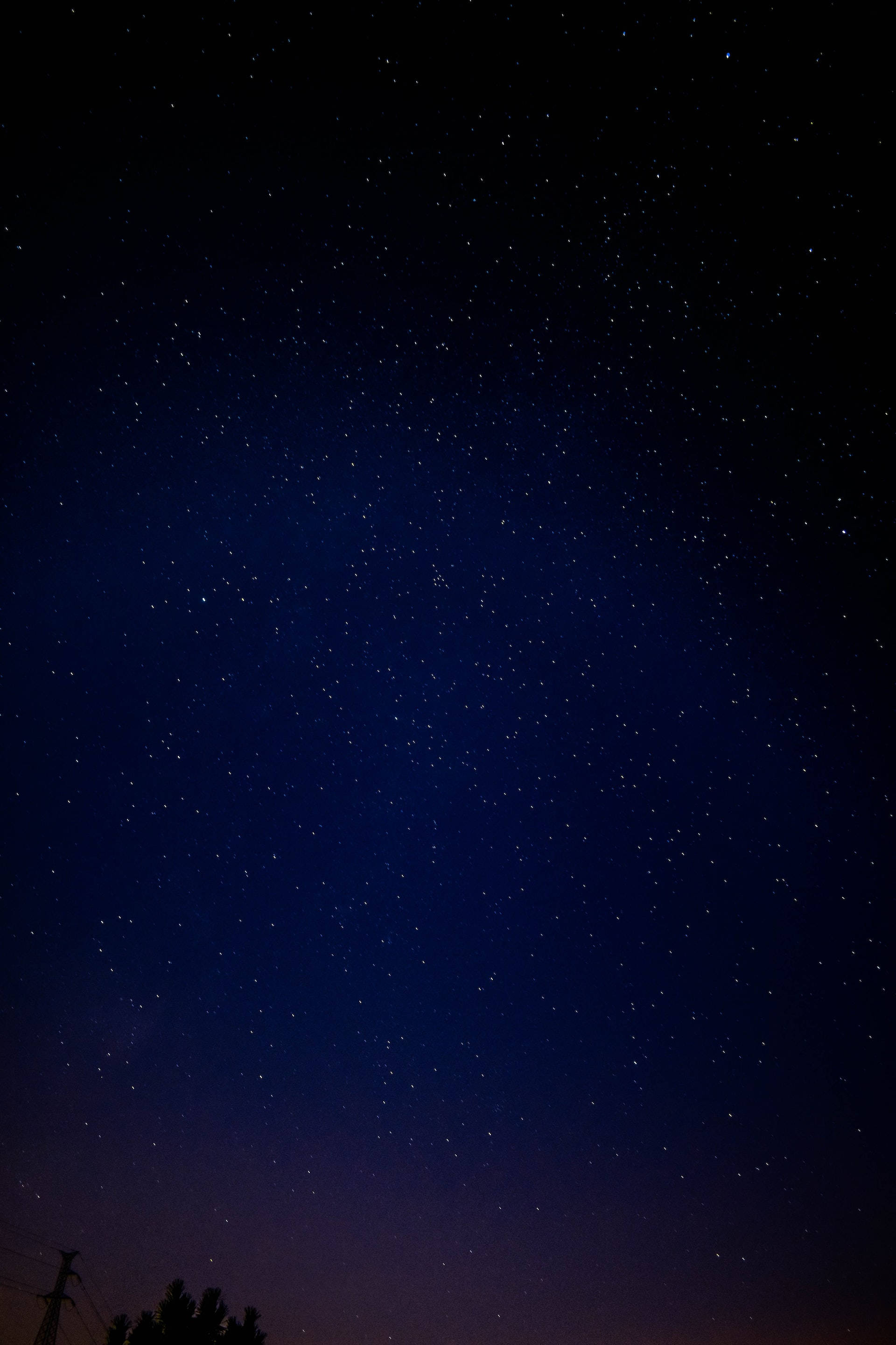 漸層 桌布 壁紙 — 令人屏息的夜空，無數星星點綴在樹木和電線的黑暗剪影之上。