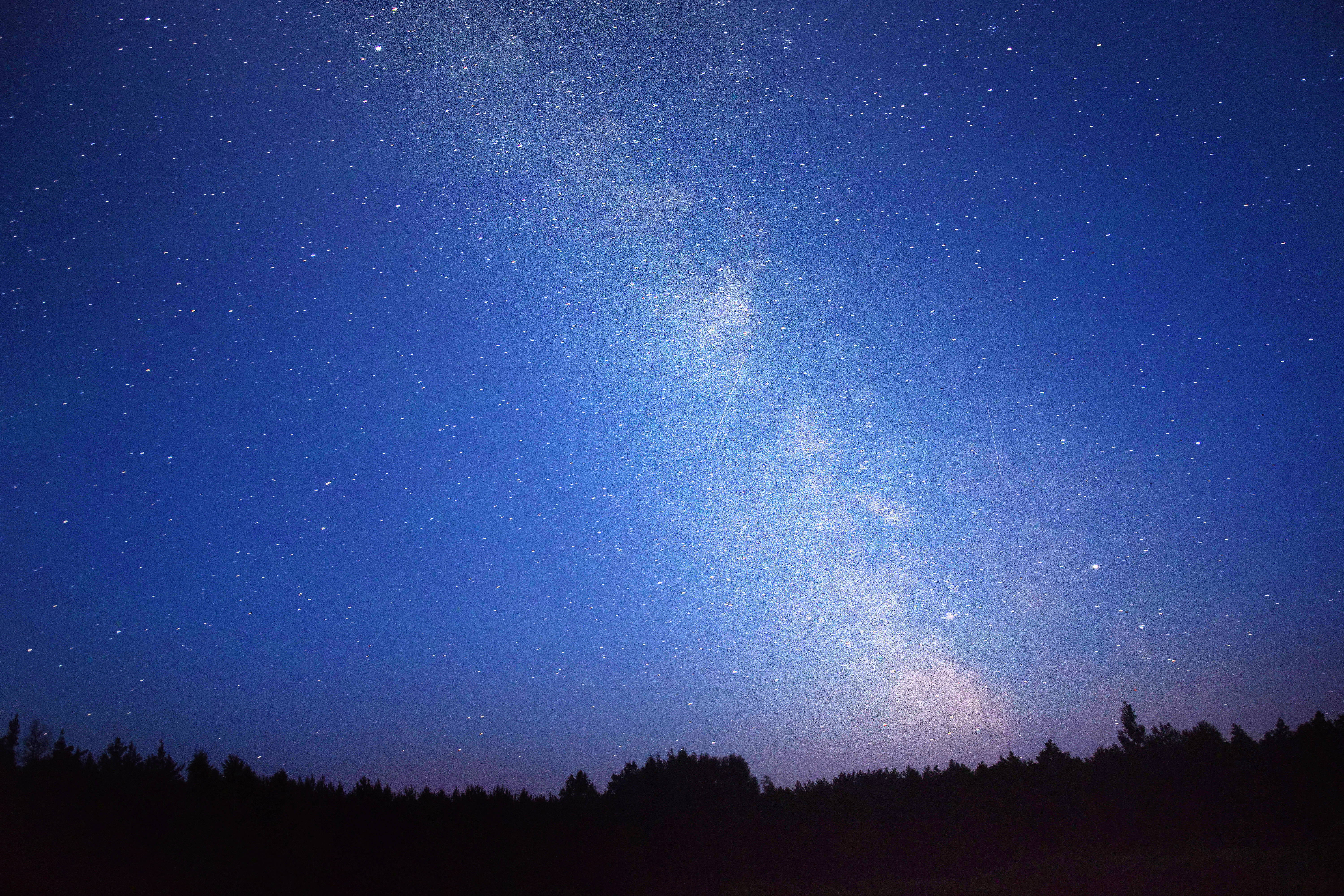 藍色銀河 桌布 壁紙 — 令人屏息的夜空佈滿無數星星，發光的銀河在黑暗的森林剪影上方拱起。