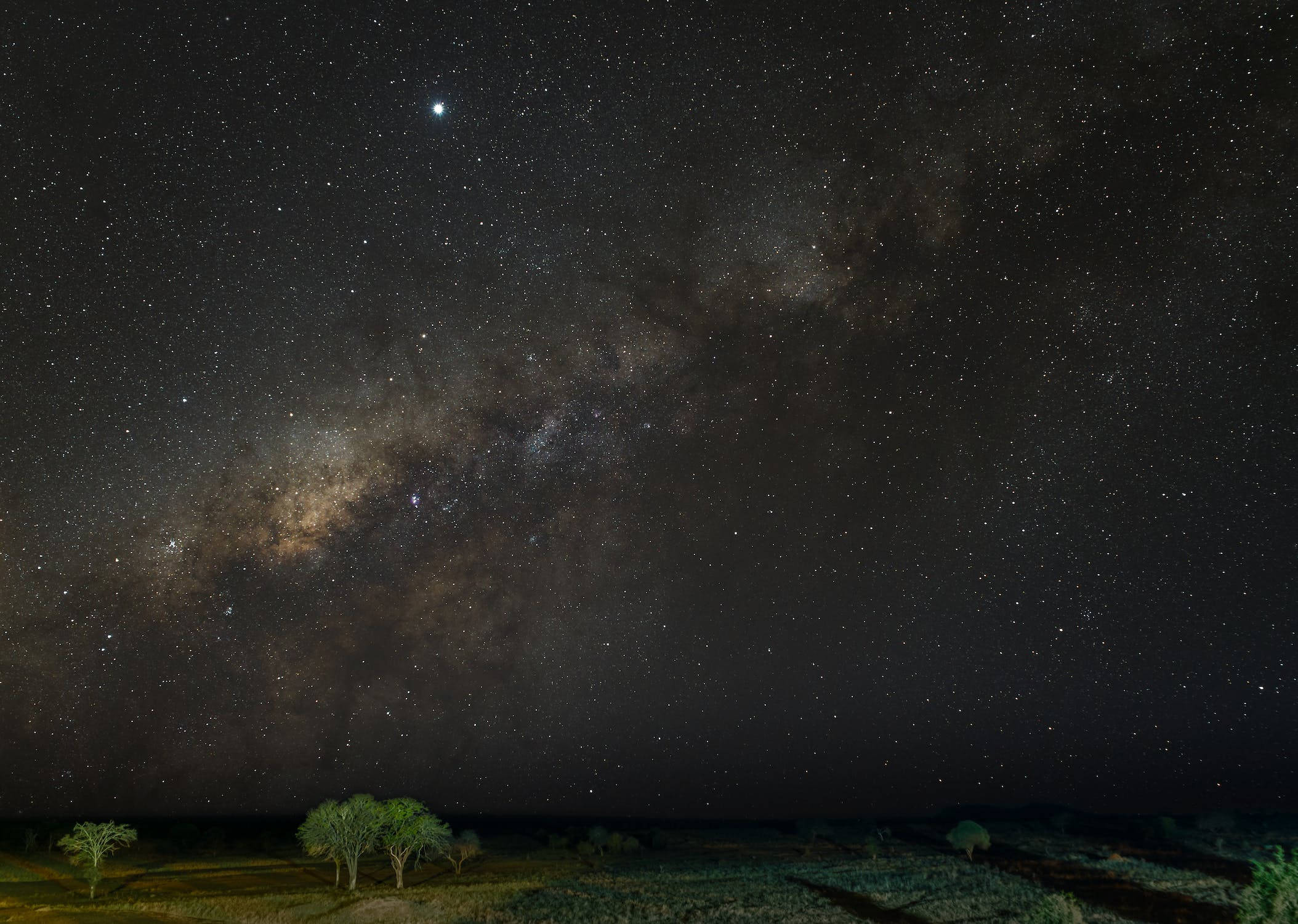 Black 桌布 壁紙 — 令人屏息的夜空充滿無數星星，銀河在稀疏的沙漠景觀上拱起，樹木形成剪影。