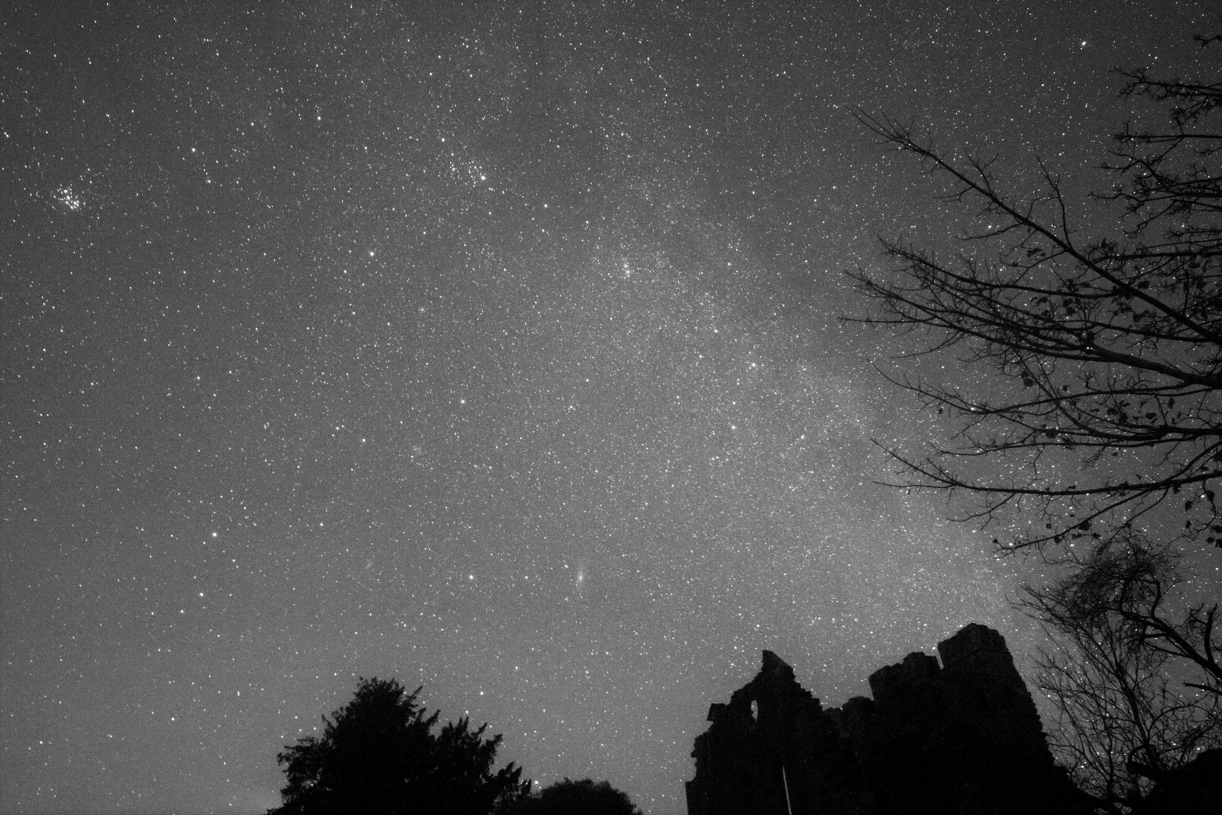 夜空 桌布 壁紙 — 令人屏息的黑白夜空，充滿無數星星和銀河，拱形跨越黑暗的廢墟輪廓和光禿的樹枝。