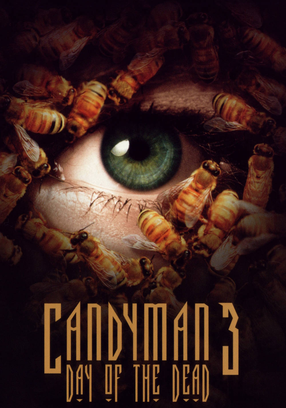 Candyman 桌布 壁紙 — 令人毛骨悚然的人類眼睛特寫，周圍環繞著蜂擁的蜜蜂，標題為 Candyman 3 Day of the Dead。