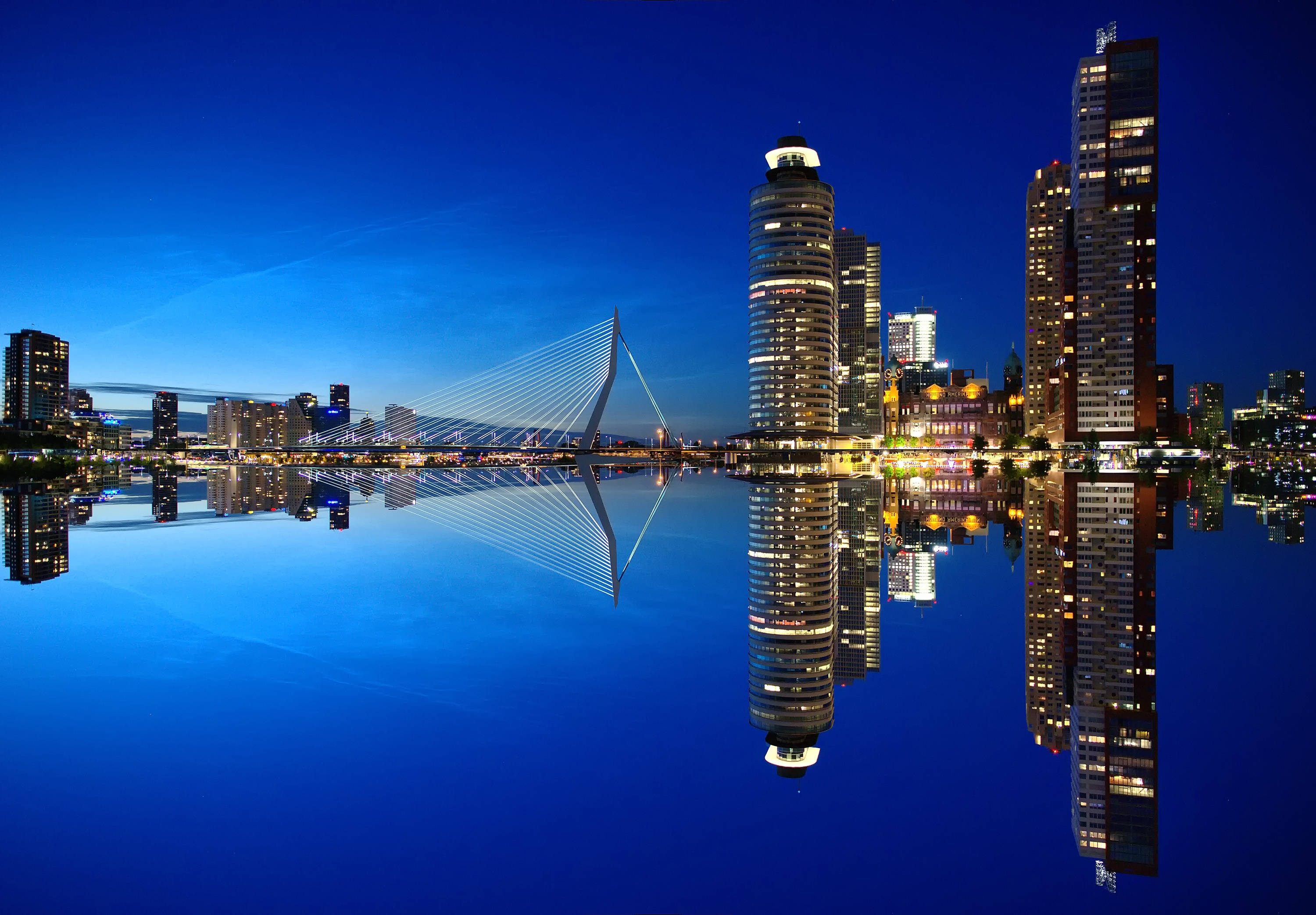 Netherlands 桌布 壁紙 — 令人驚嘆的夜景，燈火通明的摩天大樓和現代斜張橋完美倒映在平靜的水面上。