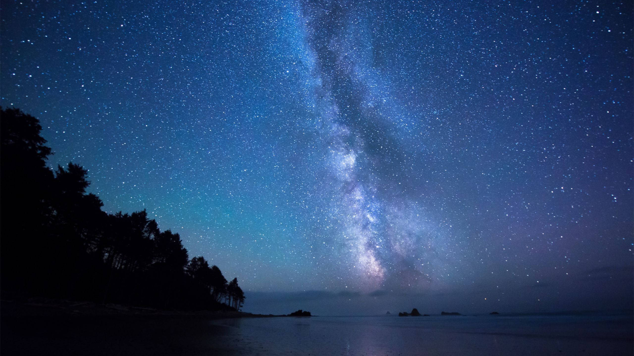 Stars 桌布 壁紙 — 令人驚嘆的夜空，充滿無數星星和發光的銀河，拱形在平靜的海洋和黑暗的森林剪影之上。