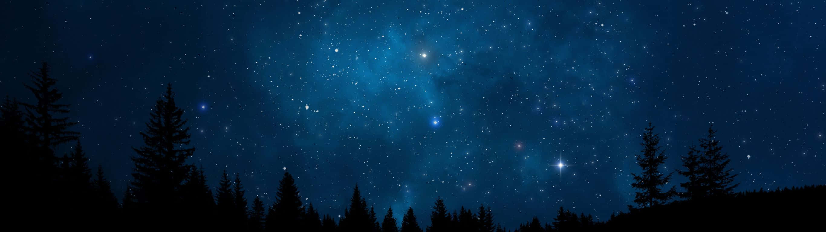 2732x768 桌布 壁紙 — 令人驚嘆的夜空，充滿無數星星和發光的藍色星雲，上方是松樹的剪影。