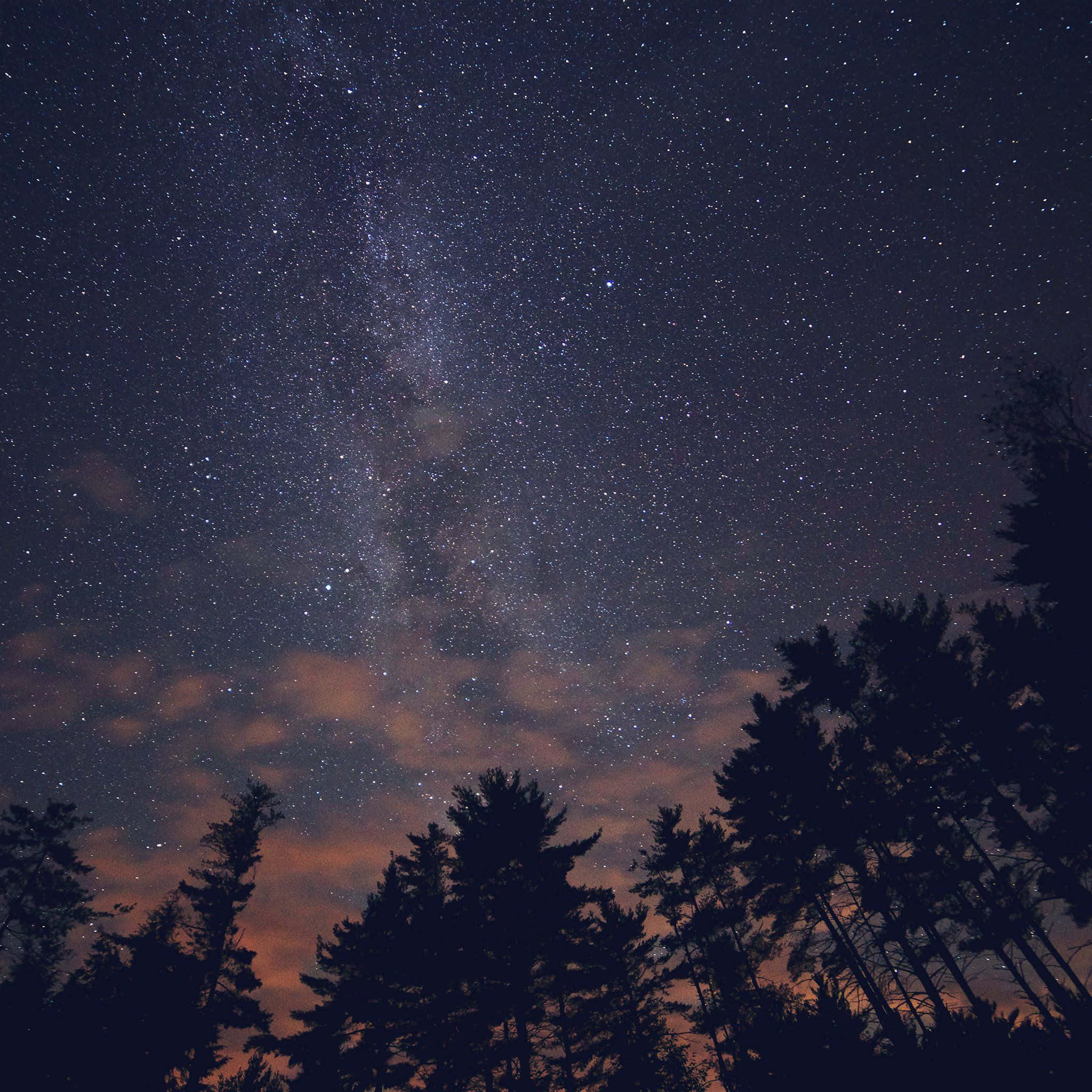 Star Sky 桌布 壁紙 — 令人驚嘆的夜空，充滿無數星星和銀河，在發光的橙色雲彩上拱起剪影的松樹。