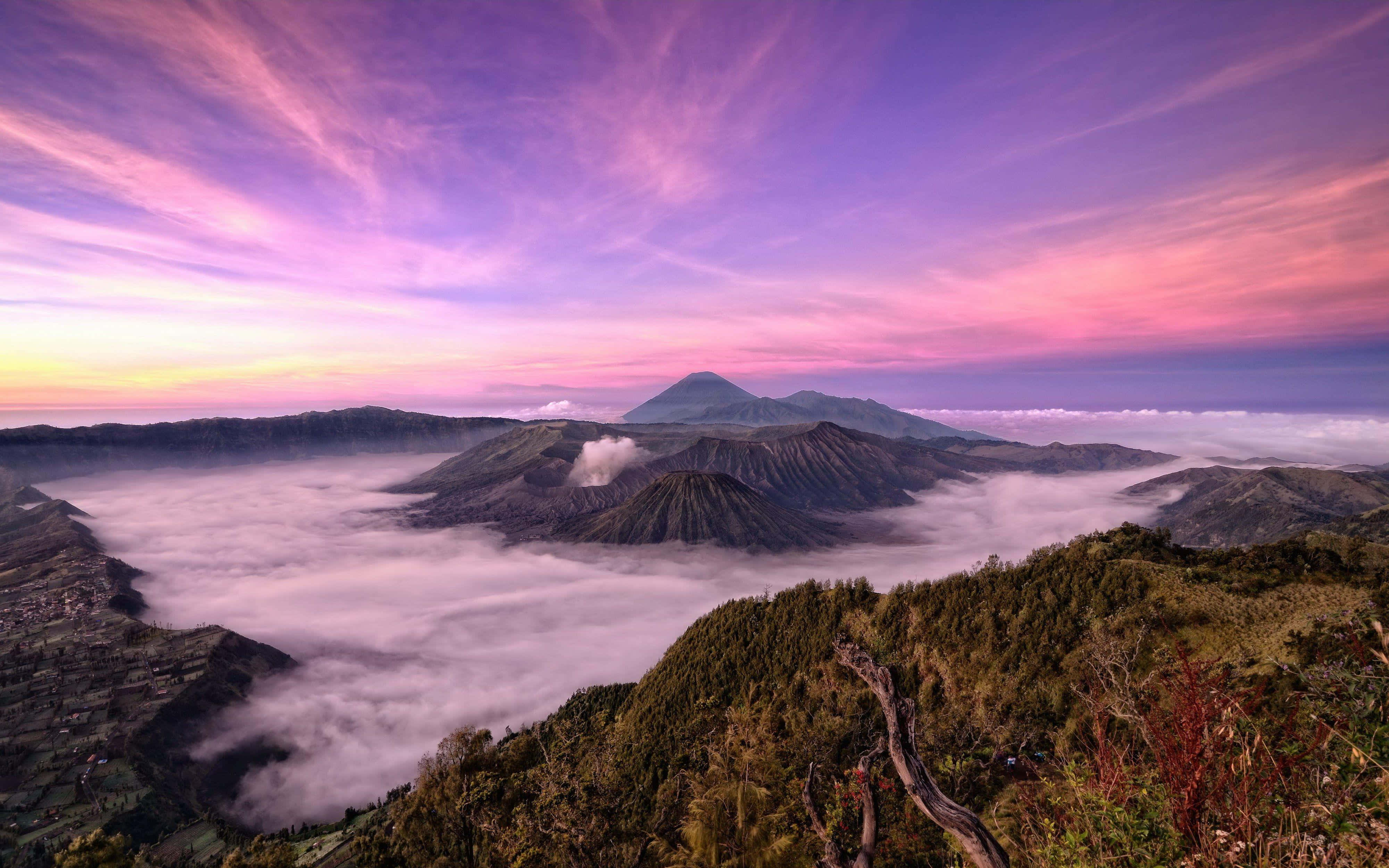 印尼 桌布 壁紙 — 令人驚嘆的日出，火山山峰之上，下方有霧雲，天空呈現鮮豔的粉紅紫色。