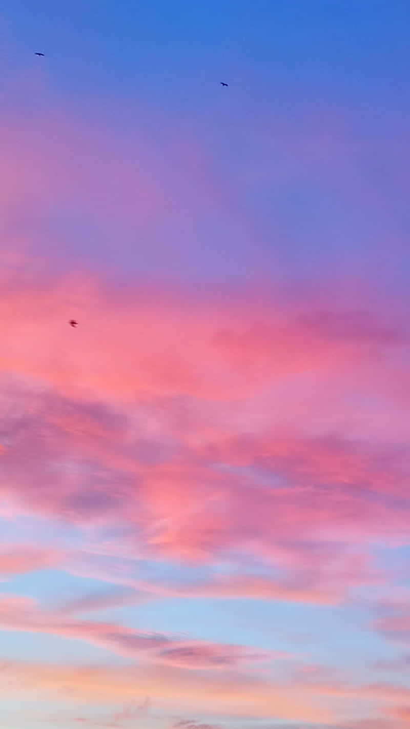 Pink And Blue Clouds 桌布 壁紙 — 令人驚嘆的日落天空，以柔和的粉紅色和藍色繪製，有散落的雲朵和三隻鳥高飛。