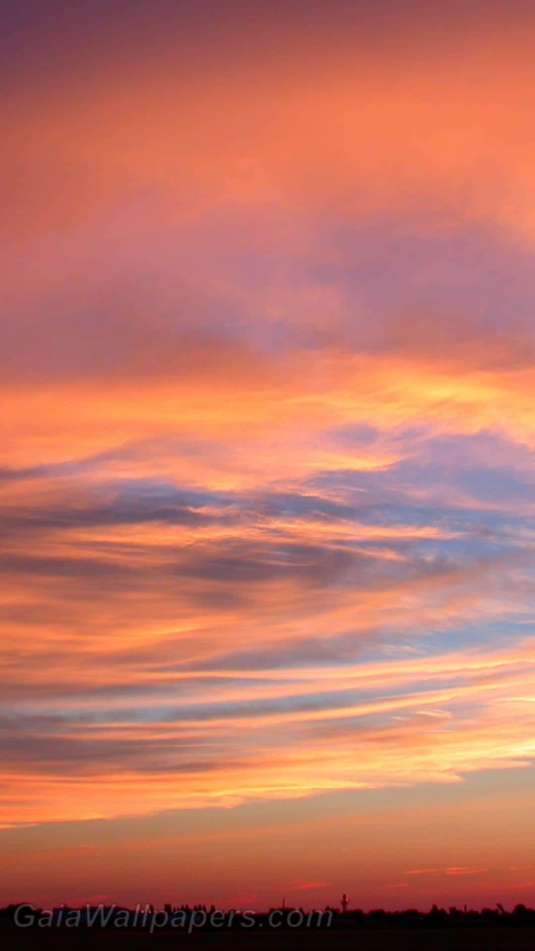 Clouds Aesthetic Tumblr 桌布 壁紙 — 令人驚嘆的日落天空，火熱的橙色、粉紅色和紫色雲彩在黑暗的剪影地平線上方繪製。