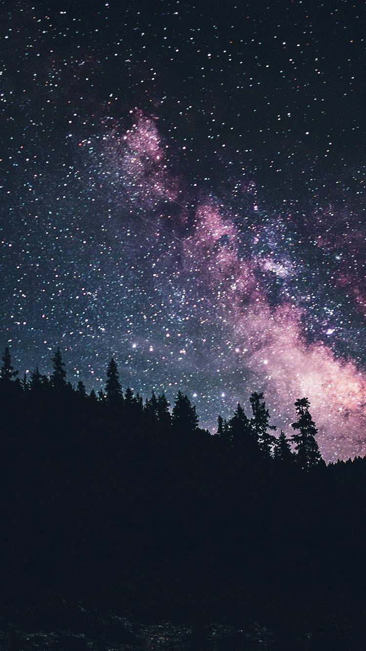 夜空 桌布 壁紙 — 令人驚嘆的銀河系景觀，在松樹的黑暗剪影上方散發出粉紅色和紫色的光芒。
