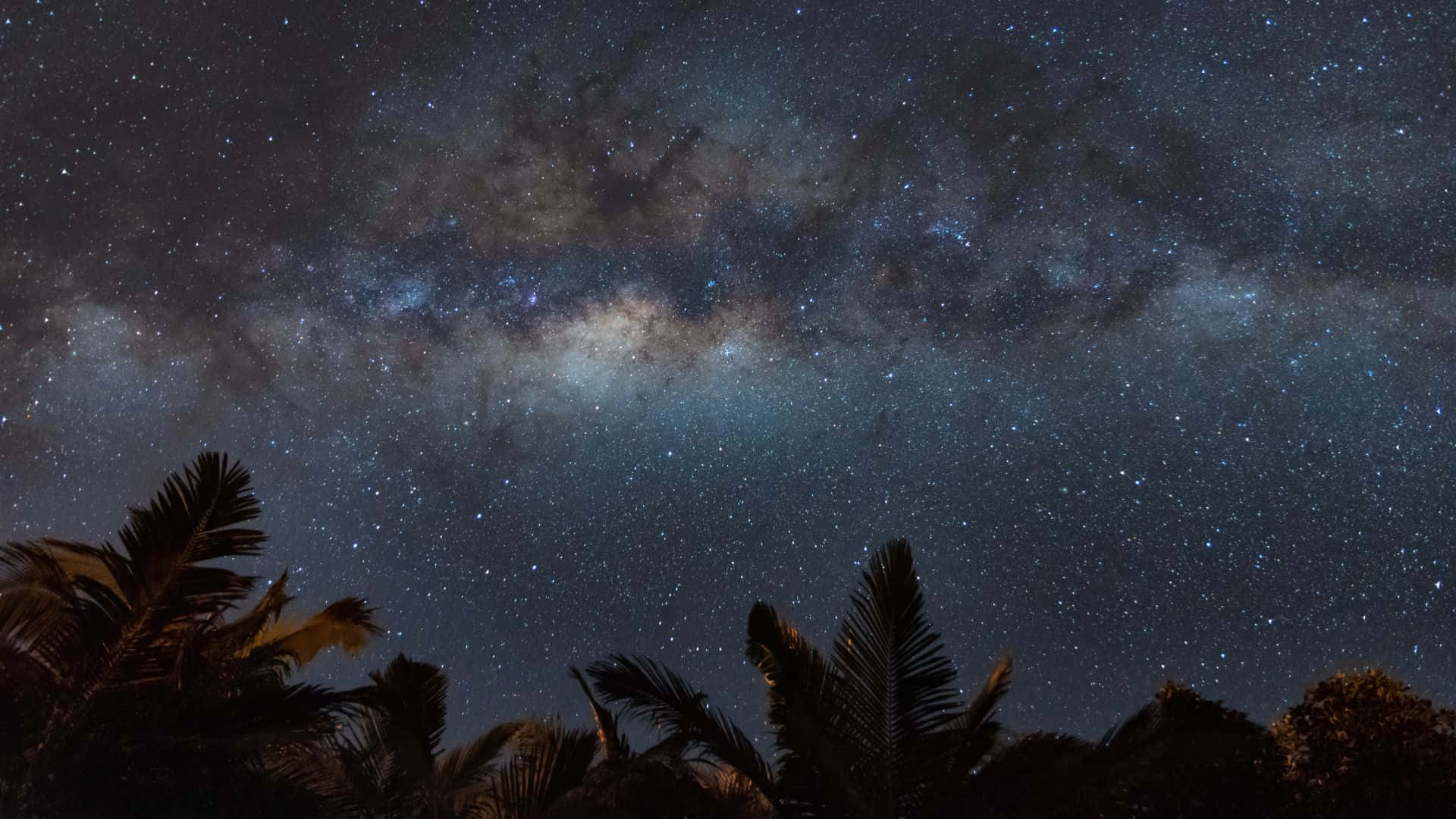 Cosmic Dust 桌布 壁紙 — 令人驚嘆的銀河系景觀，在繁星點點的夜空上拱起，襯托著剪影般的棕櫚樹。