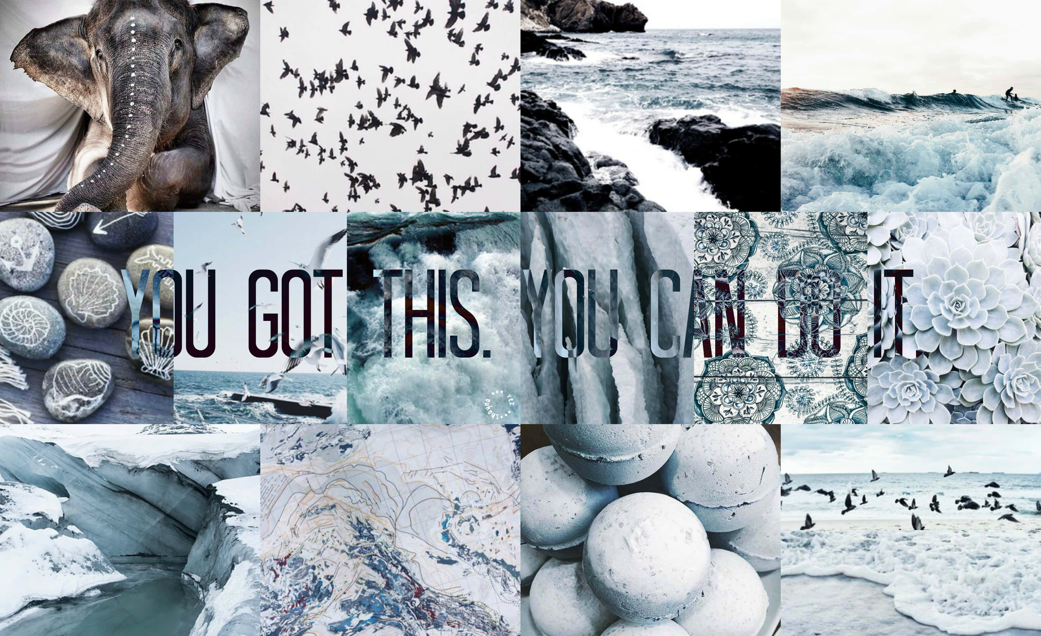 Winter Aesthetic Collage 桌布 壁紙 — 以大像、鳥類、海浪和文字疊加為特色的單色自然與勵志圖像拼貼。