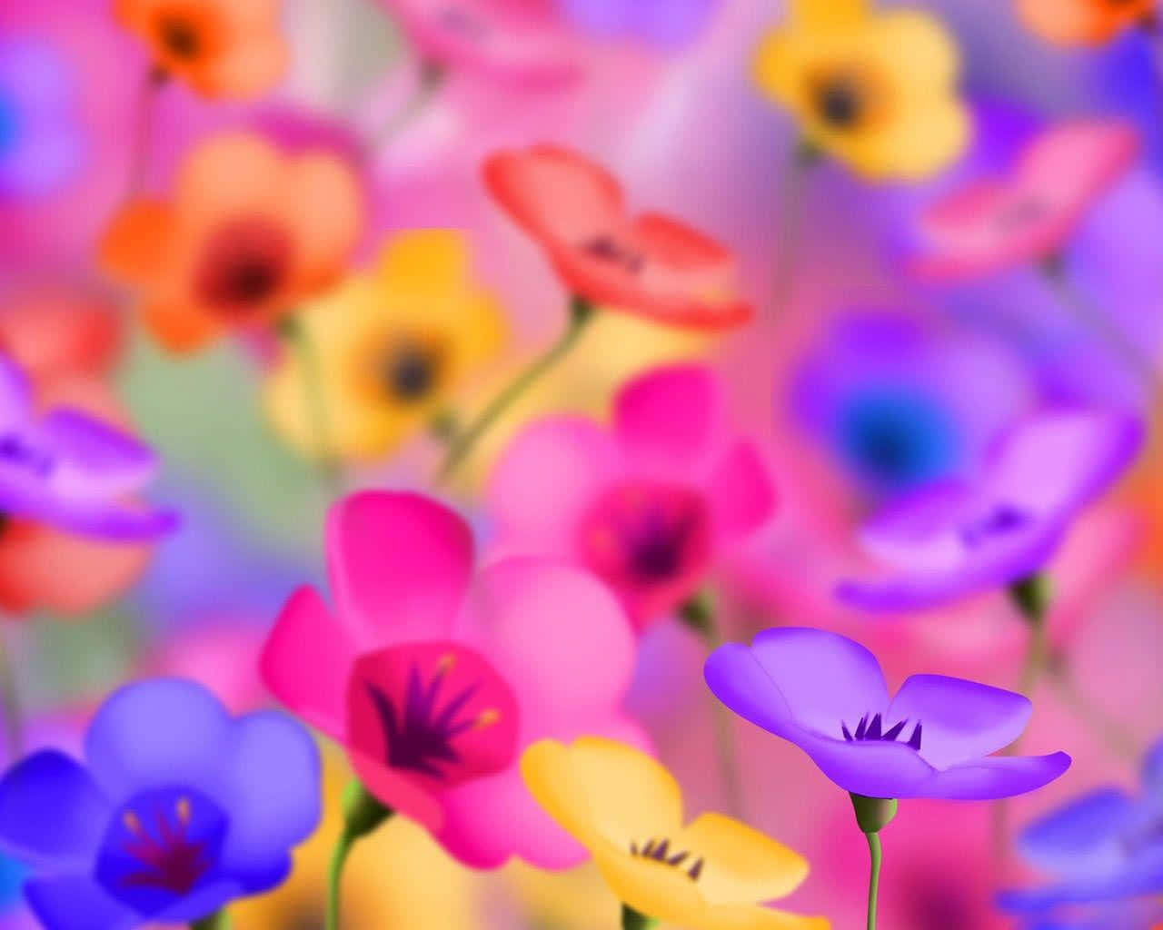 Cute Flower 桌布 壁紙 — 以數位方式渲染的鮮豔花朵，粉紅、紫、黃、藍色，在模糊的粉彩背景上柔和綻放。