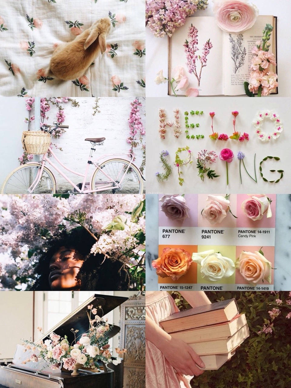 Aesthetic Spring 桌布 壁紙 — 以春天為主題的圖片拼貼，包括花布上的兔子、粉紅色腳踏車、花朵字母、玫瑰色樣、花下的人以及帶花的書。
