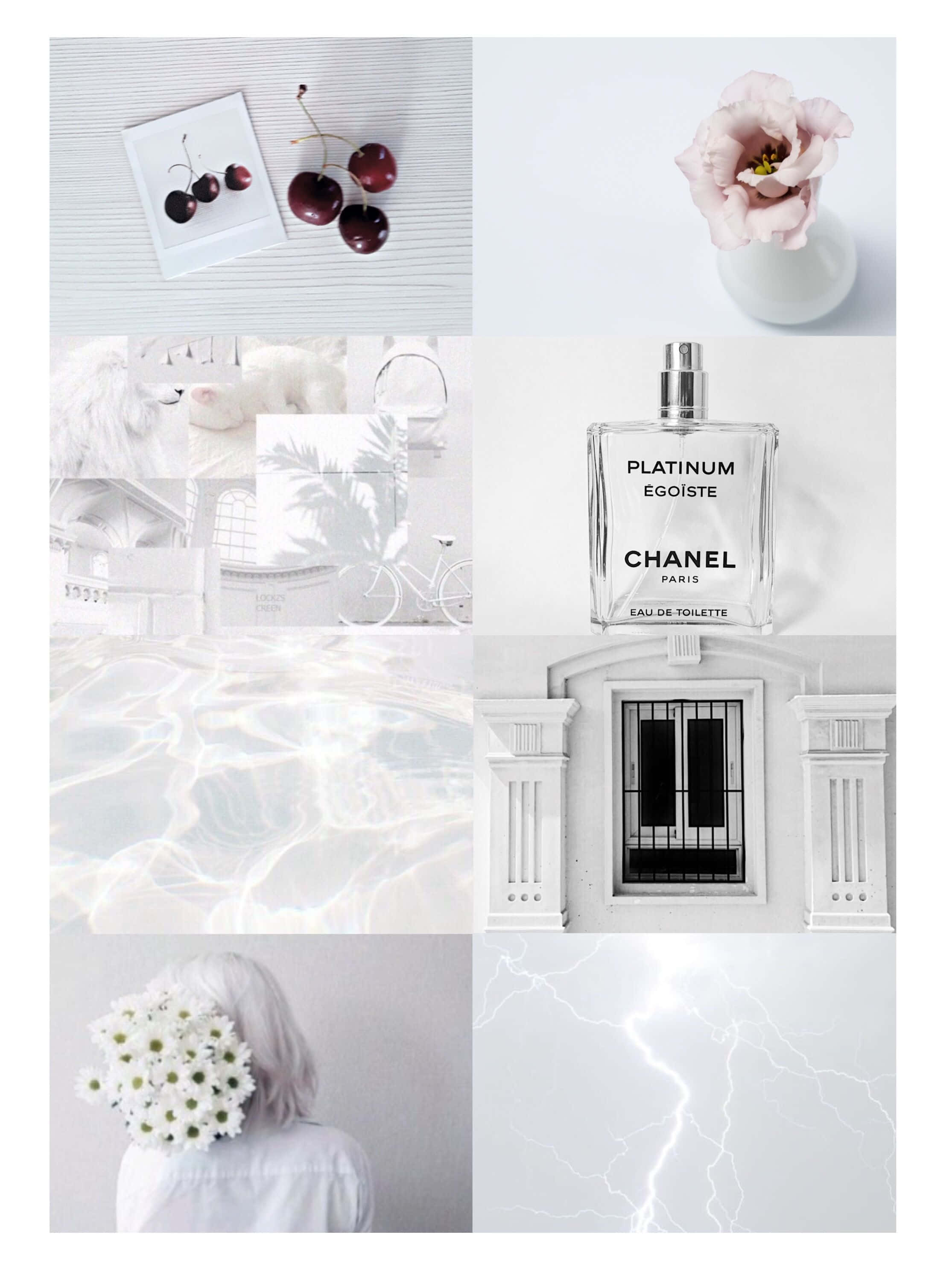 Chanel 桌布 壁紙 — 以柔和光線和簡潔構圖呈現的單色奢華物品與自然元素極簡拼貼。
