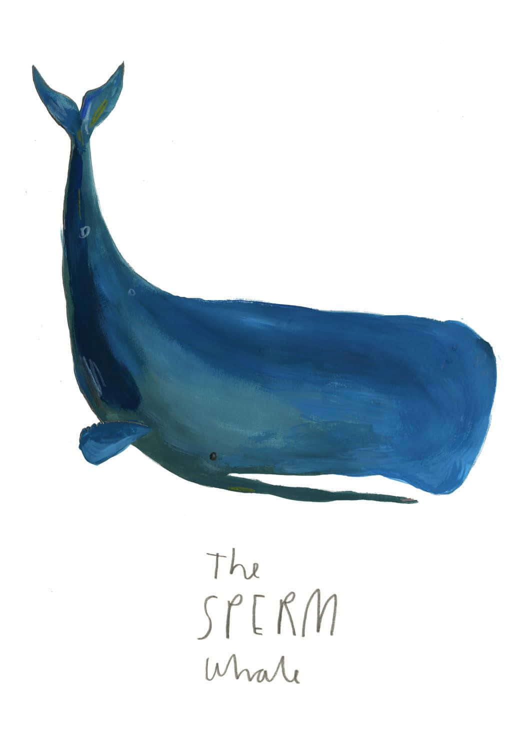 Sperm Whale 桌布 壁紙 — 以柔和筆觸和手寫文字標示為「The Sperm Whale」的風格化藍鯨插圖。