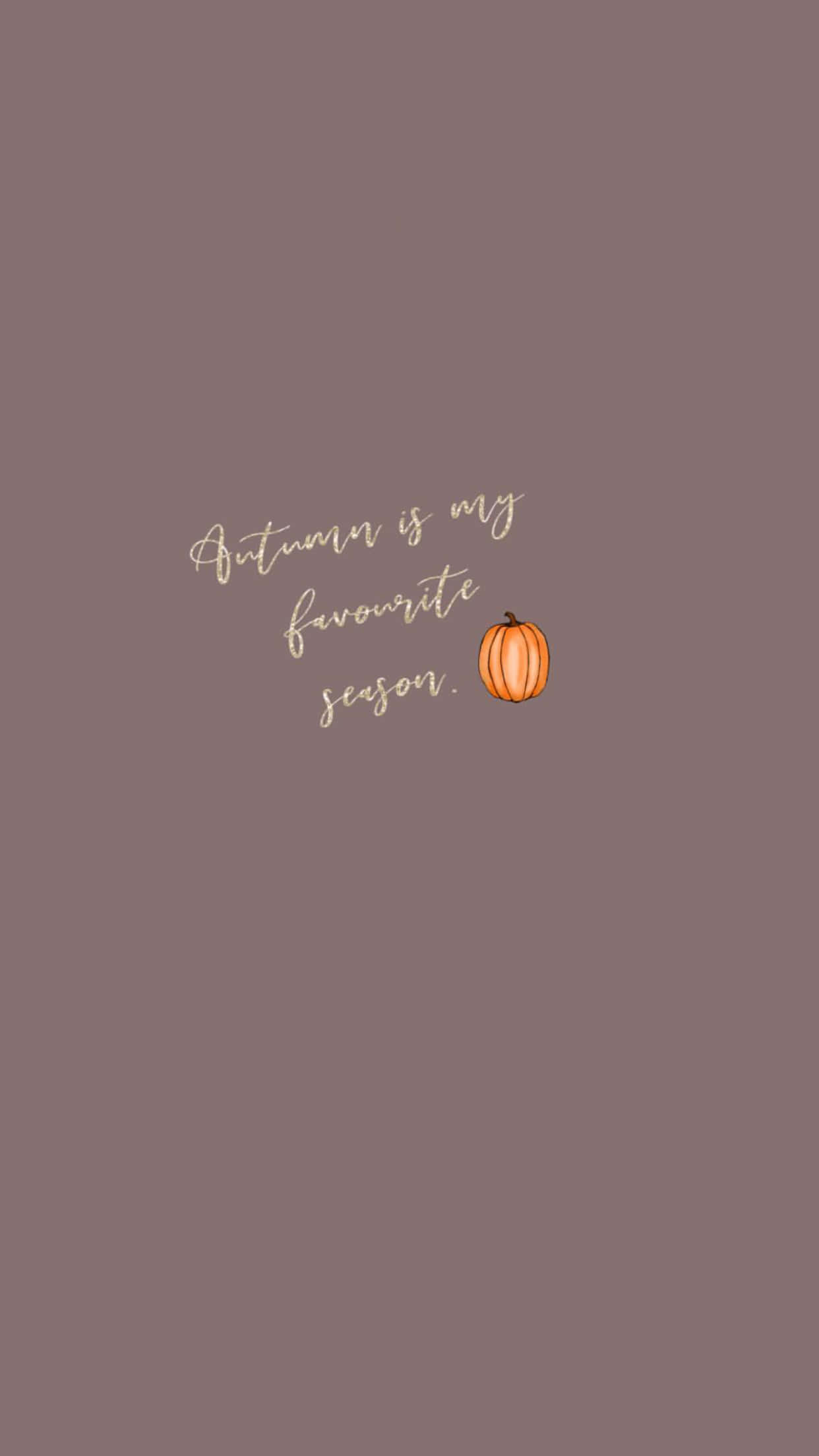 Fall Phone 桌布 壁紙 — 以柔和紫紅色背景為襯托，帶有手寫文字和小南瓜的簡約秋季主題壁紙。