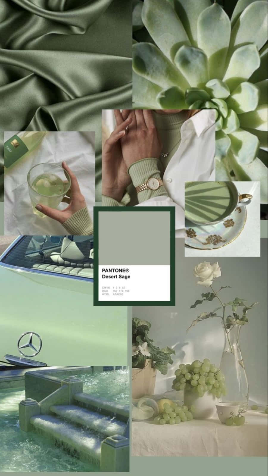 Aesthetic Sage Green 桌布 壁紙 — 以沙漠鼠尾草色調為主的寧靜拼貼畫，包含多肉植物、絲綢布料、手持飲品的手和梅賽德斯-奔馳池畔場景。