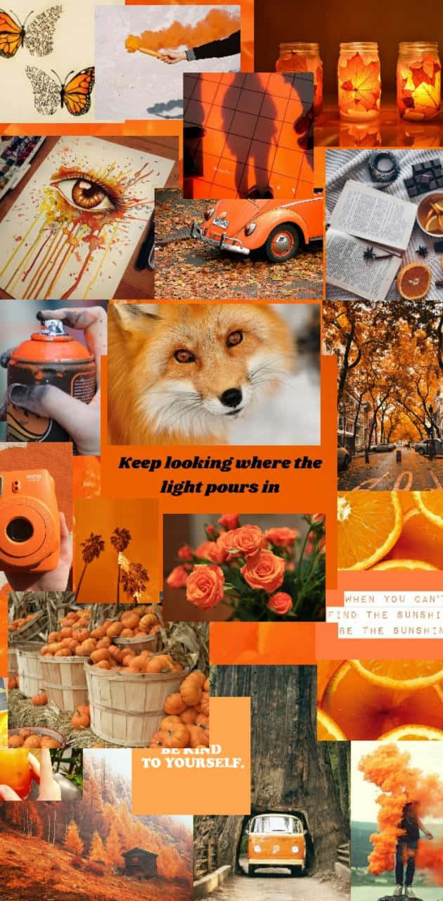 Orange Aesthetic Phone 桌布 壁紙 — 以溫暖光芒為背景，呈現狐狸、南瓜、噴漆、秋葉和復古汽車的鮮豔橙色主題拼貼。
