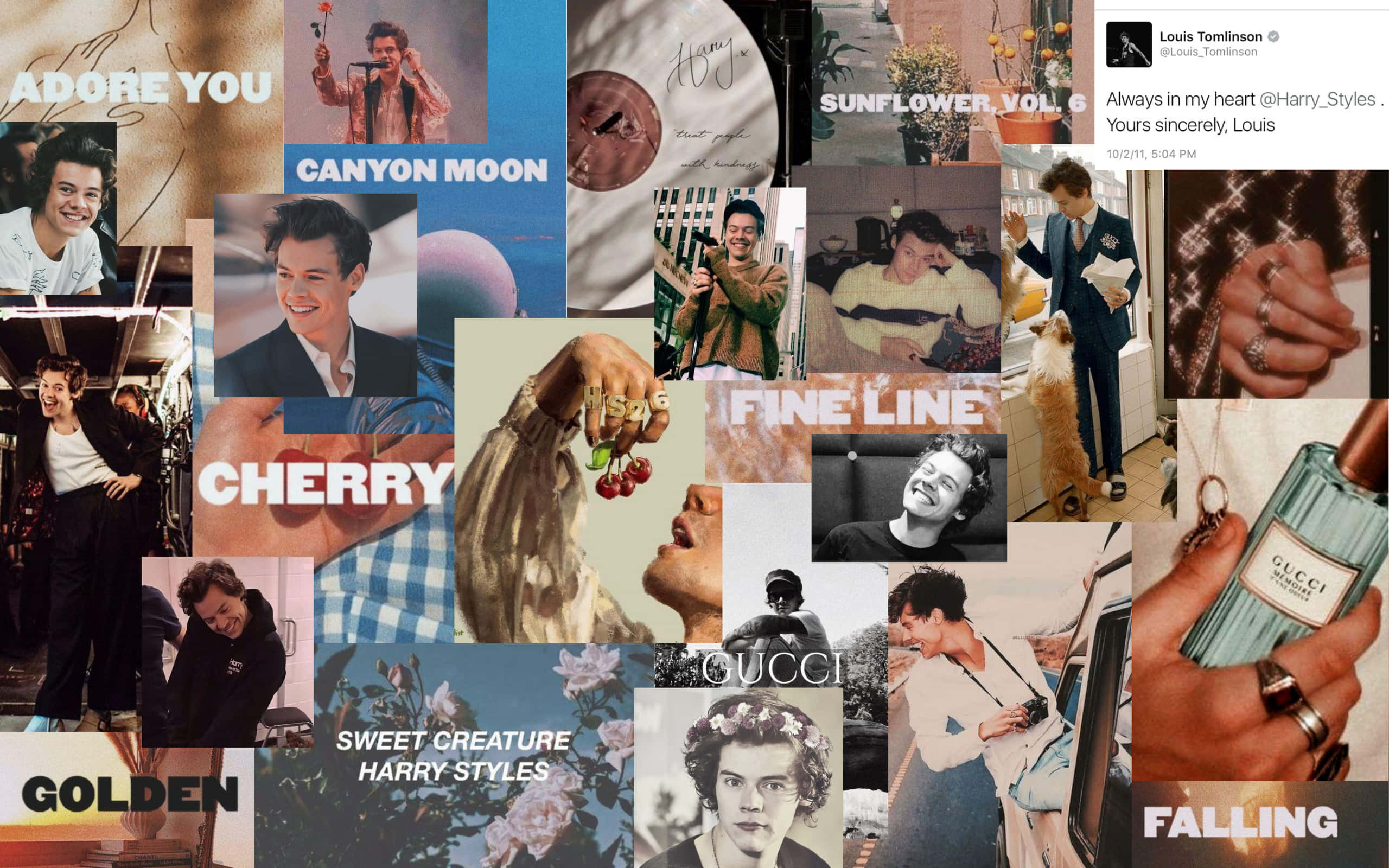 Harry Styles Laptop 桌布 壁紙 — 以溫暖色調呈現的 Harry Styles 照片、專輯藝術和生活時刻的充滿活力的拼貼畫。