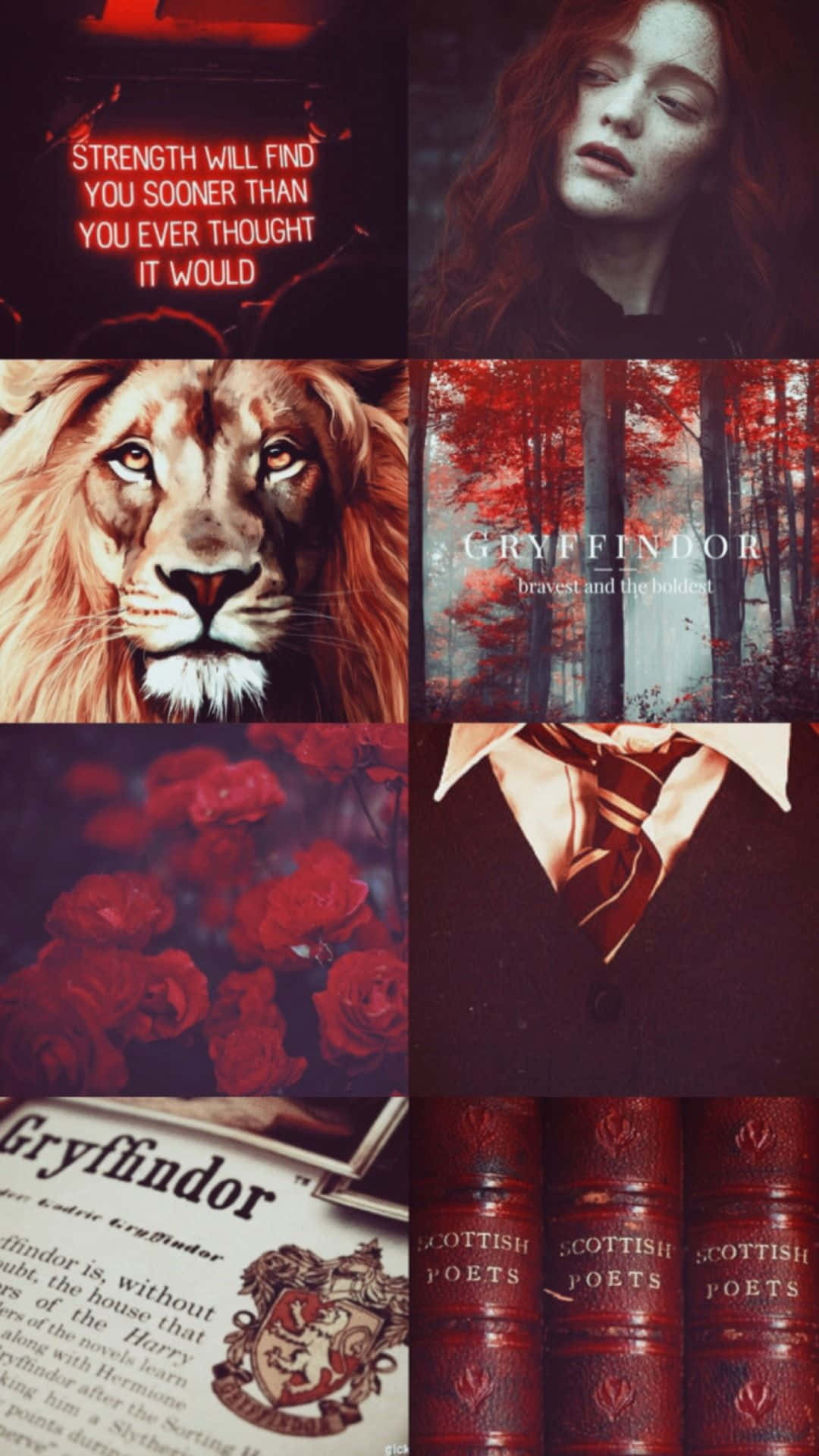 Gryffindor Aesthetic 桌布 壁紙 — 以葛萊芬多為主題的拼貼畫，包含獅子肖像、紅玫瑰、學生領帶和帶有勵志語錄的書籍，色調溫暖。