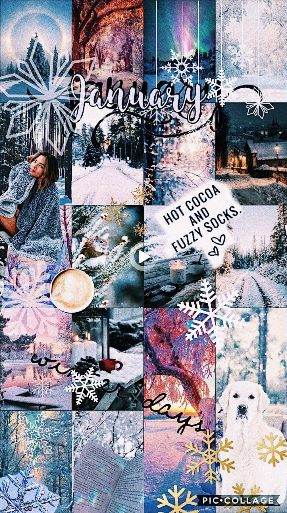 Winter Aesthetic Collage 桌布 壁紙 — 以雪地森林、舒適飲品和一隻帶有雪花和一月文字的白狗為特色的冬季主題拼貼畫。