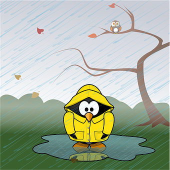 穿雨衣的企鵝在雨天街頭漫步 — 動物 壁紙