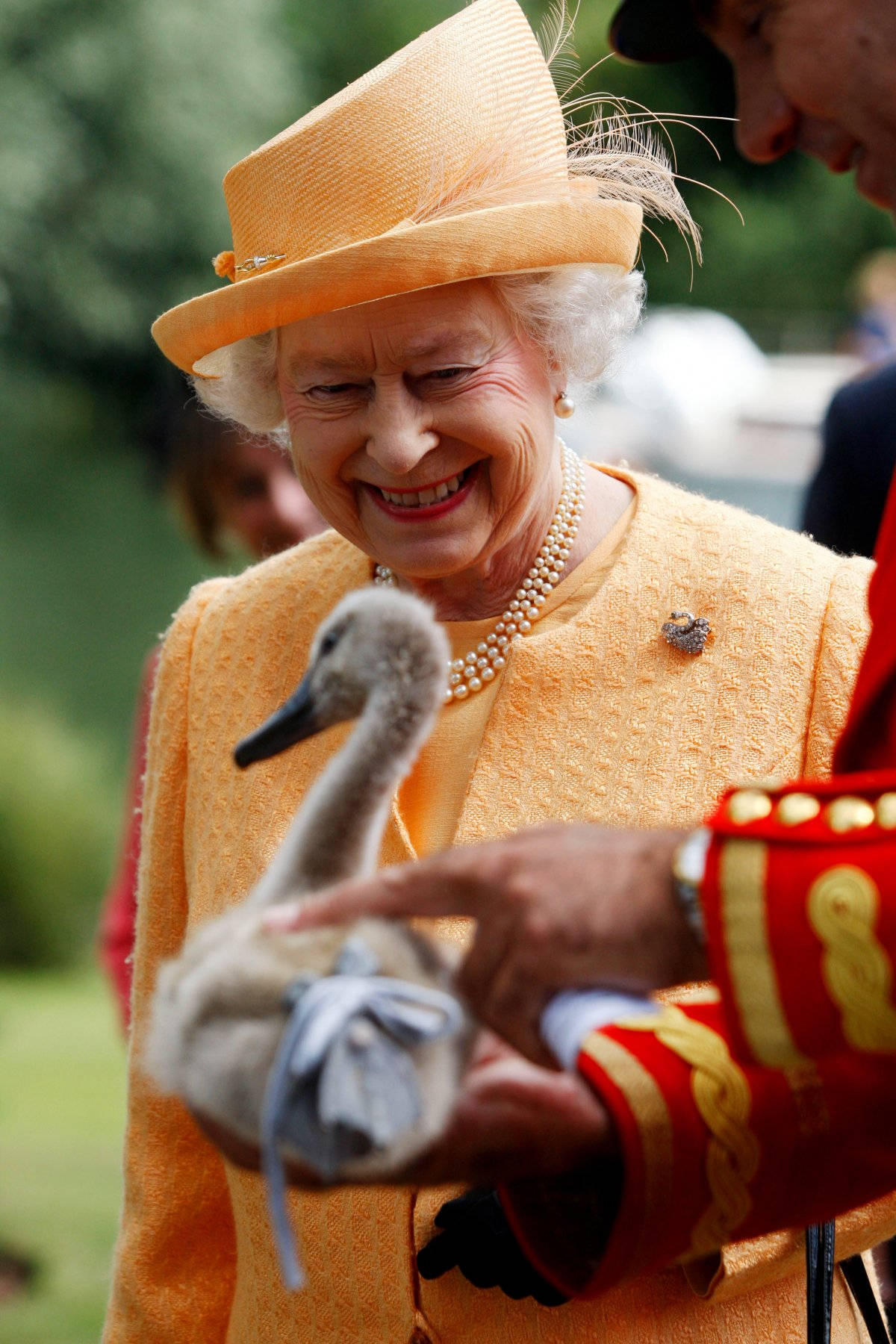 Queen Elizabeth 桌布 壁紙 — 伊莉莎白二世女王身穿鮮黃色服裝，在翠綠背景下溫柔地抱著一隻小天鵝，面露溫暖笑容。