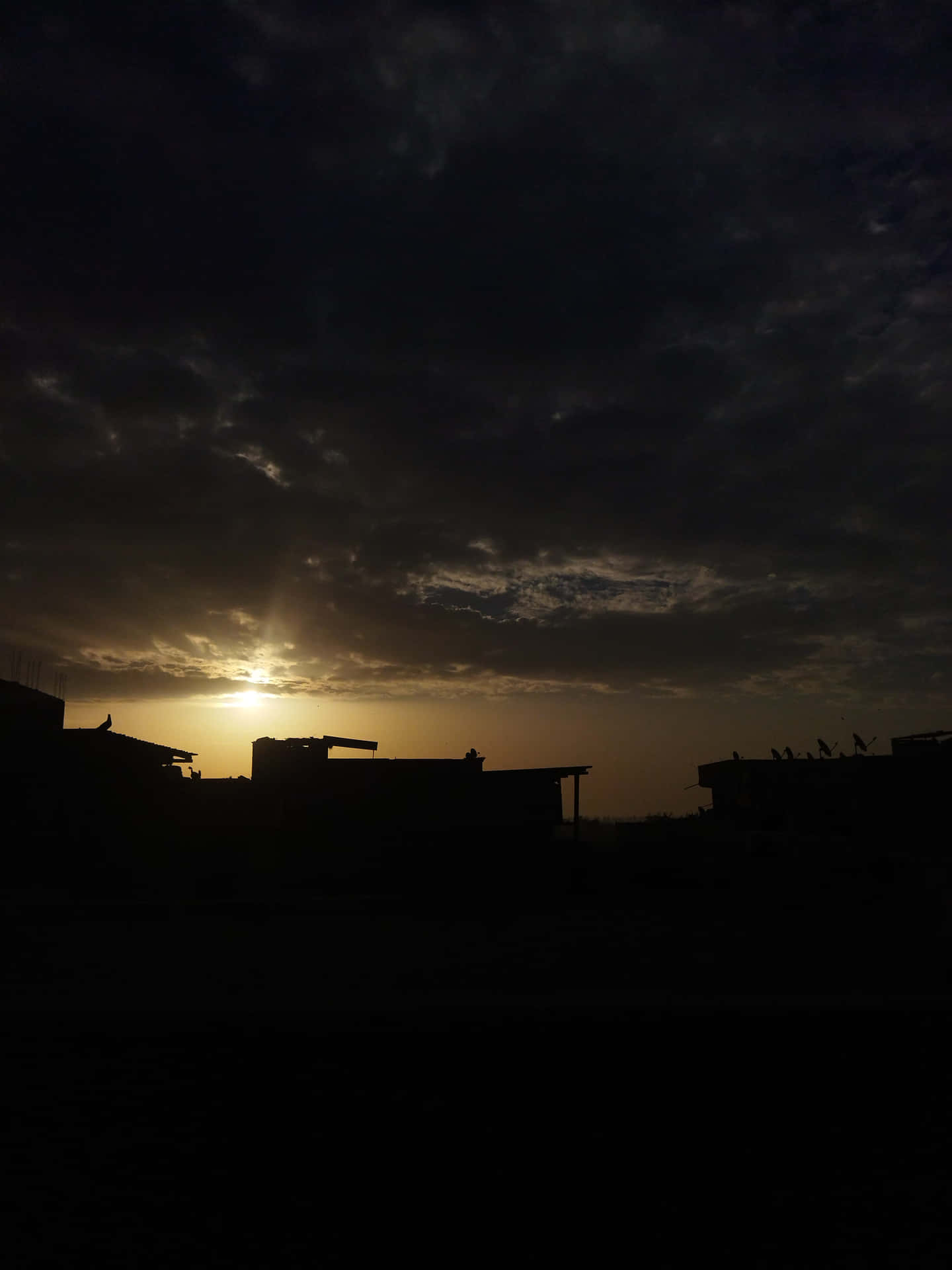wallpaper 壁紙 — 低沉的太陽穿透烏雲，將金色光芒灑在輪廓分明的屋頂和棲息的鳥兒上。