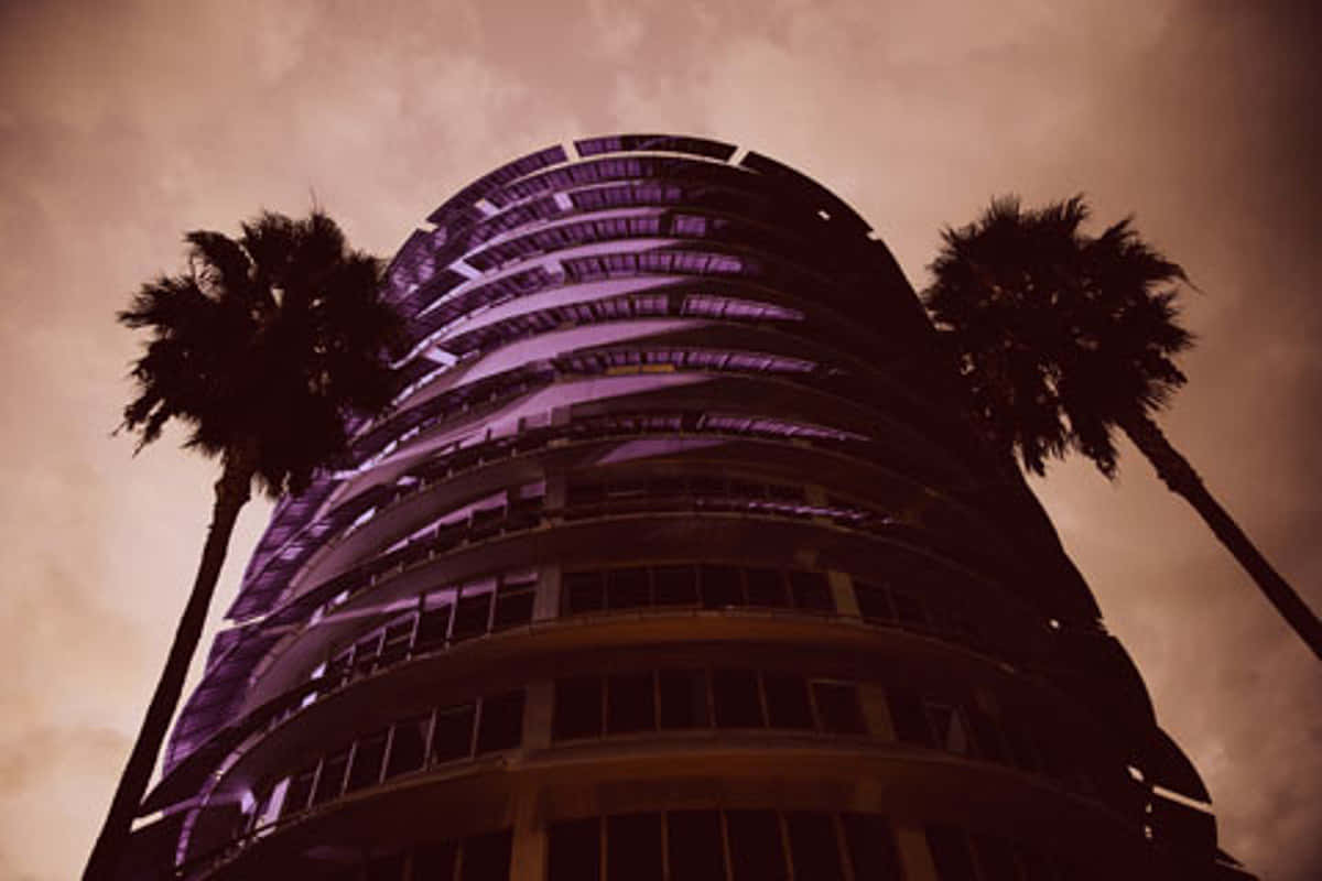 View 桌布 壁紙 — 低角度拍攝一座彎曲的現代建築，在兩棵棕櫚樹之間，於暮色天空下發出紫色光芒。