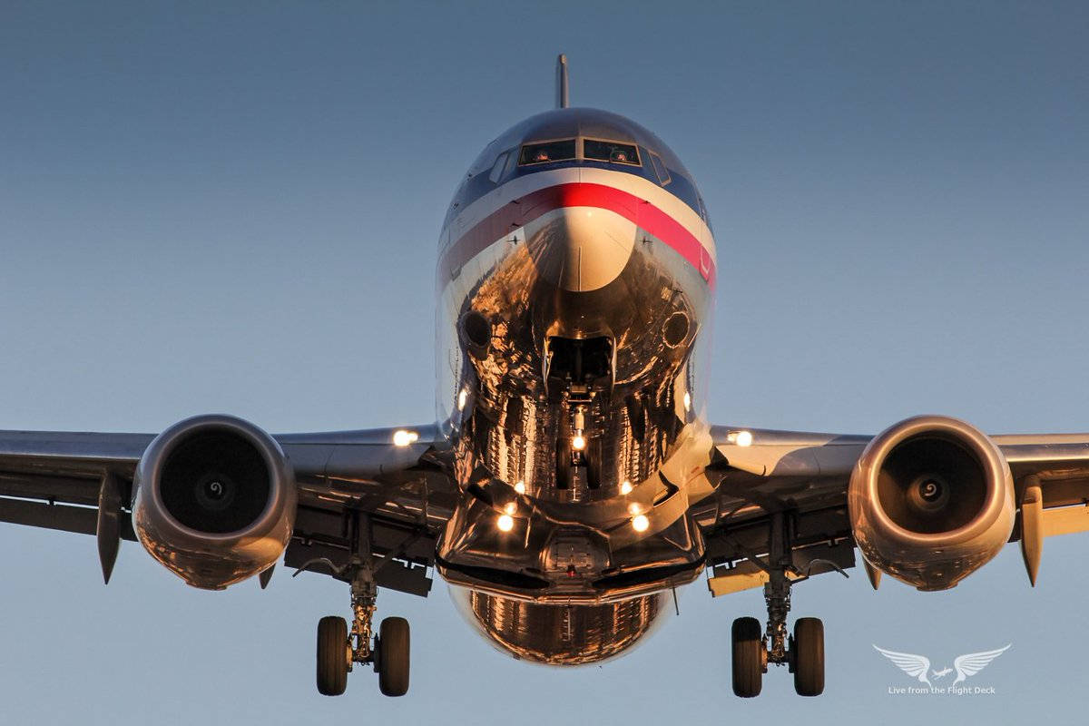 Airlines 桌布 壁紙 — 低角度拍攝捕捉到商用飛機的機頭和引擎，背景是日落時分清澈的藍天。