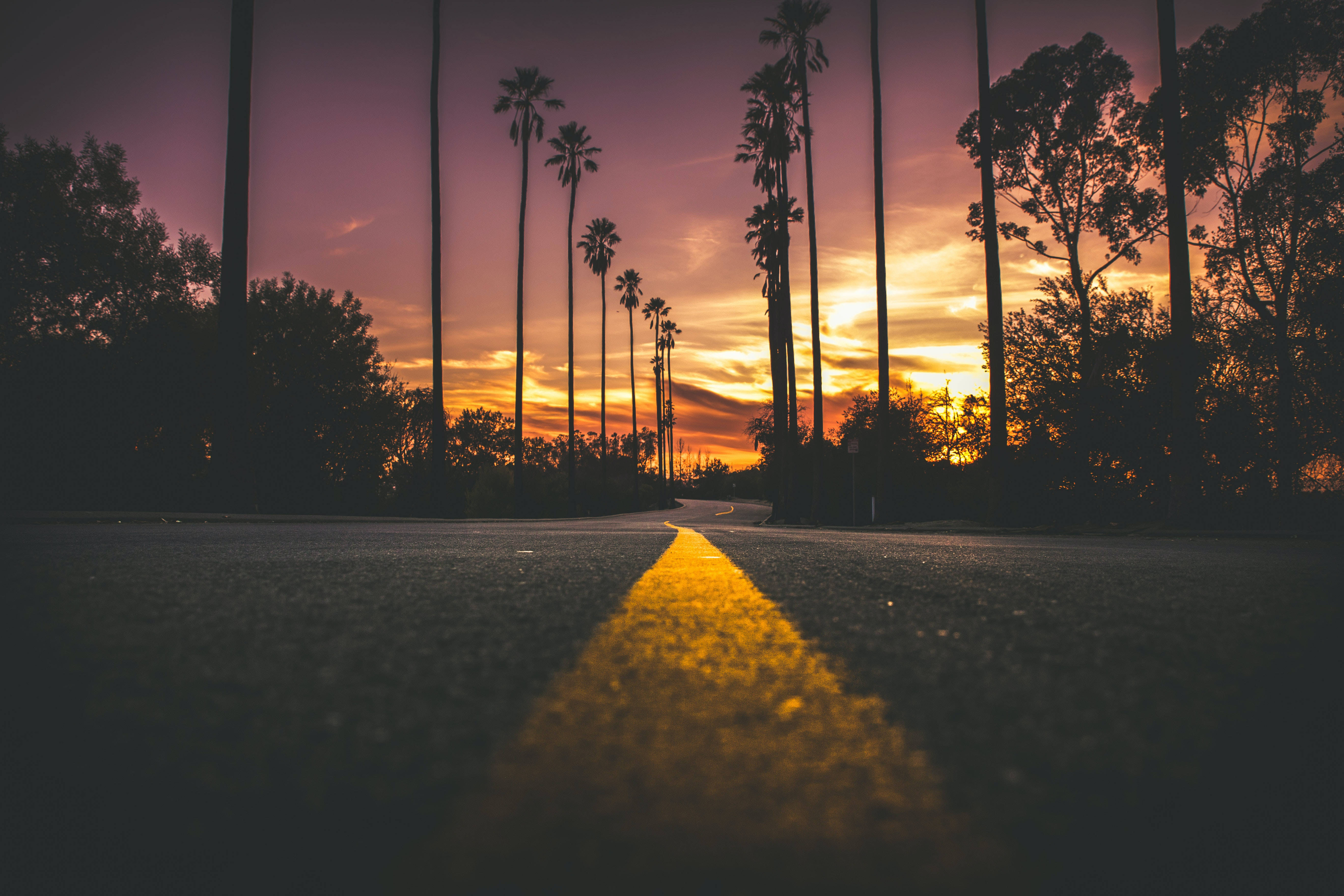 Road 桌布 壁紙 — 低角度拍攝日落時分的道路，棕櫚樹在充滿活力的橙色和紫色天空襯托下形成剪影。