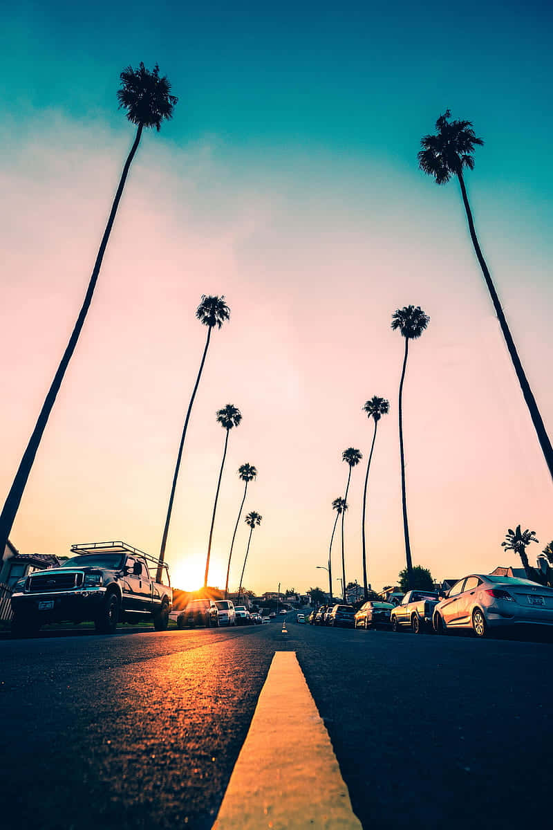 Pixel 3 California 桌布 壁紙 — 低角度拍攝日落時分街道兩旁棕櫚樹和汽車，溫暖的金色光芒。
