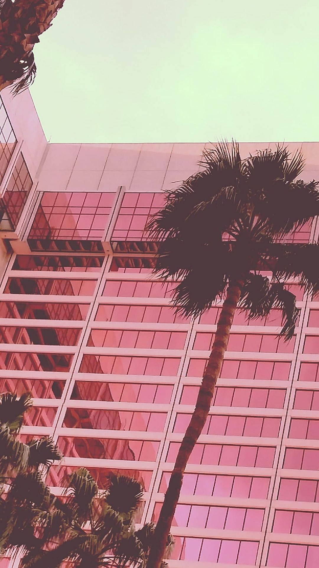 美學粉色GIF 桌布 壁紙 — 低角度拍攝棕櫚樹在淡綠色天空下以粉紅色玻璃摩天大樓為背景的剪影。