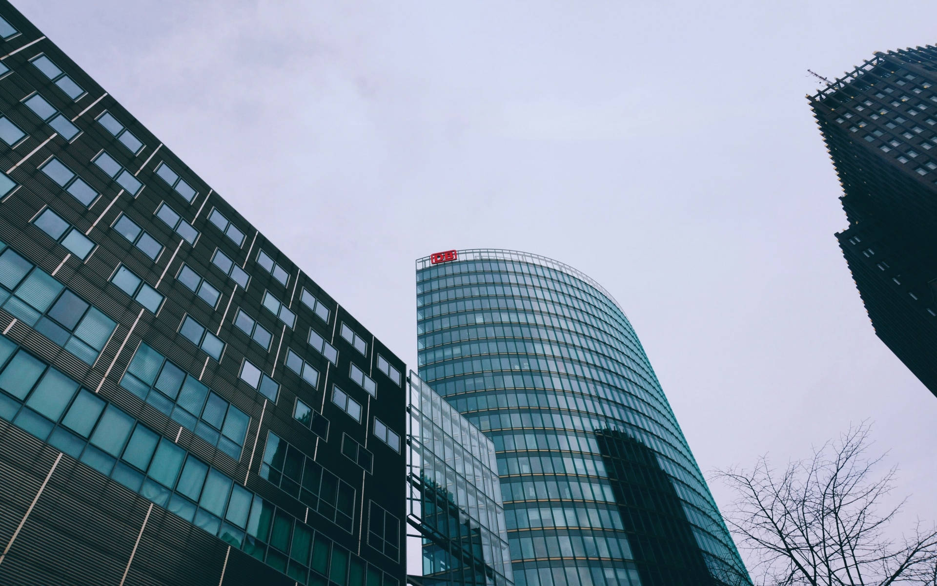 Berlin 桌布 壁紙 — 低角度拍攝現代玻璃摩天大樓，背景是蒼白的陰天，前景有光禿的樹枝。