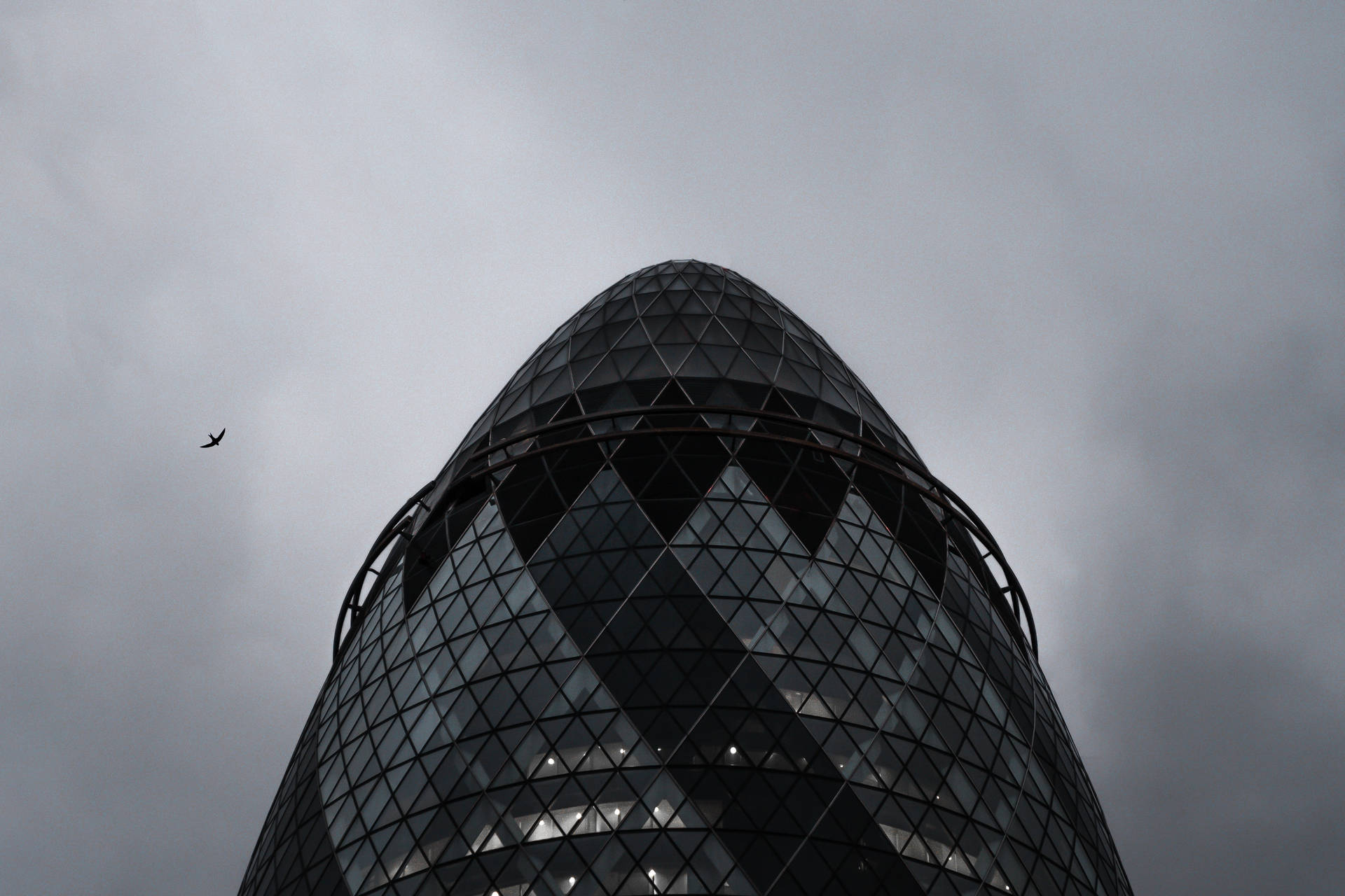 Building 桌布 壁紙 — 低角度拍攝的Gherkin摩天大樓，陰沉灰暗的天空下一隻孤鳥飛過。