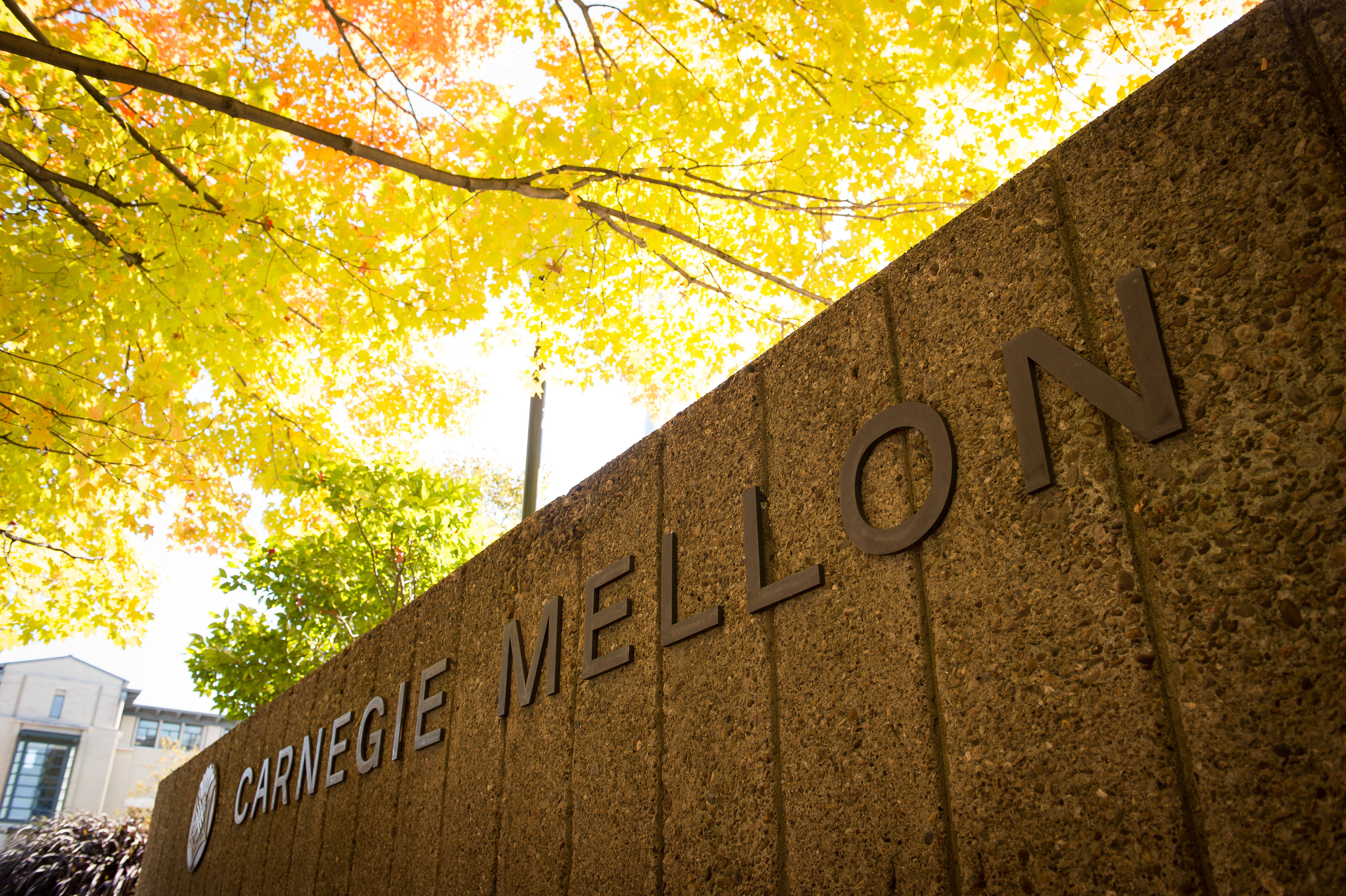 學校 桌布 壁紙 — 低角度拍攝的石牆，上面刻有「CARNEGIE MELLON」，上方是充滿活力的黃色秋葉樹冠。