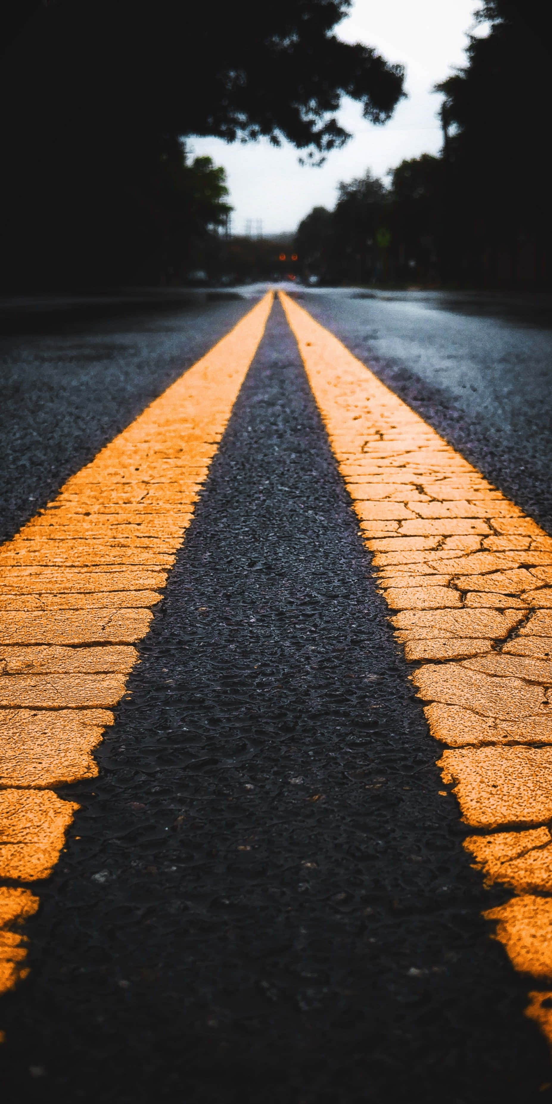 photo 桌布 壁紙 — 低角度拍攝的破裂瀝青道路，發光的橙色雙線在暮色天空下延伸向遠處的樹木。