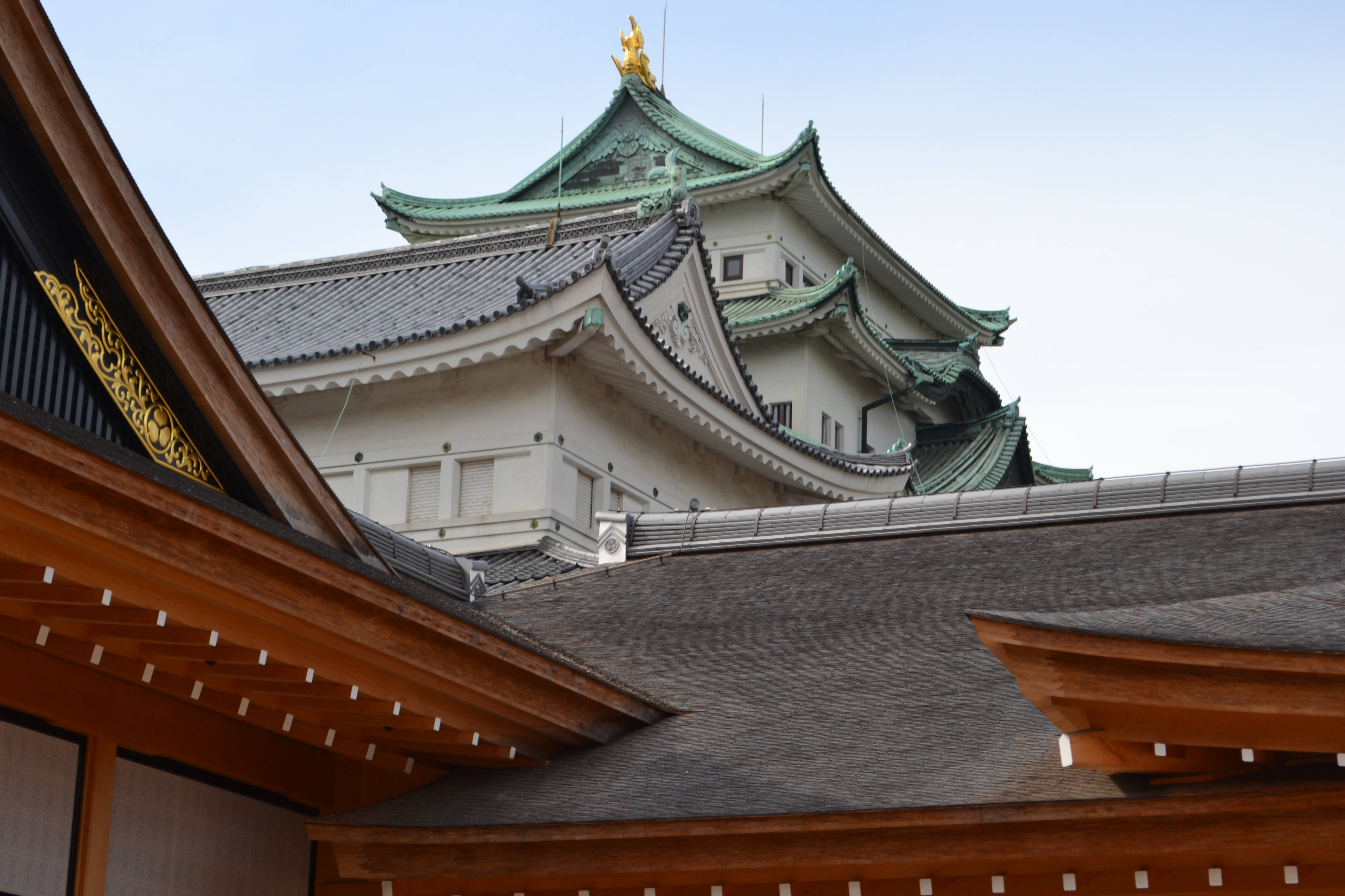 武士動畫 桌布 壁紙 — 低角度觀看傳統日本城堡，擁有綠色瓦頂和金色裝飾，襯托著淡色天空。