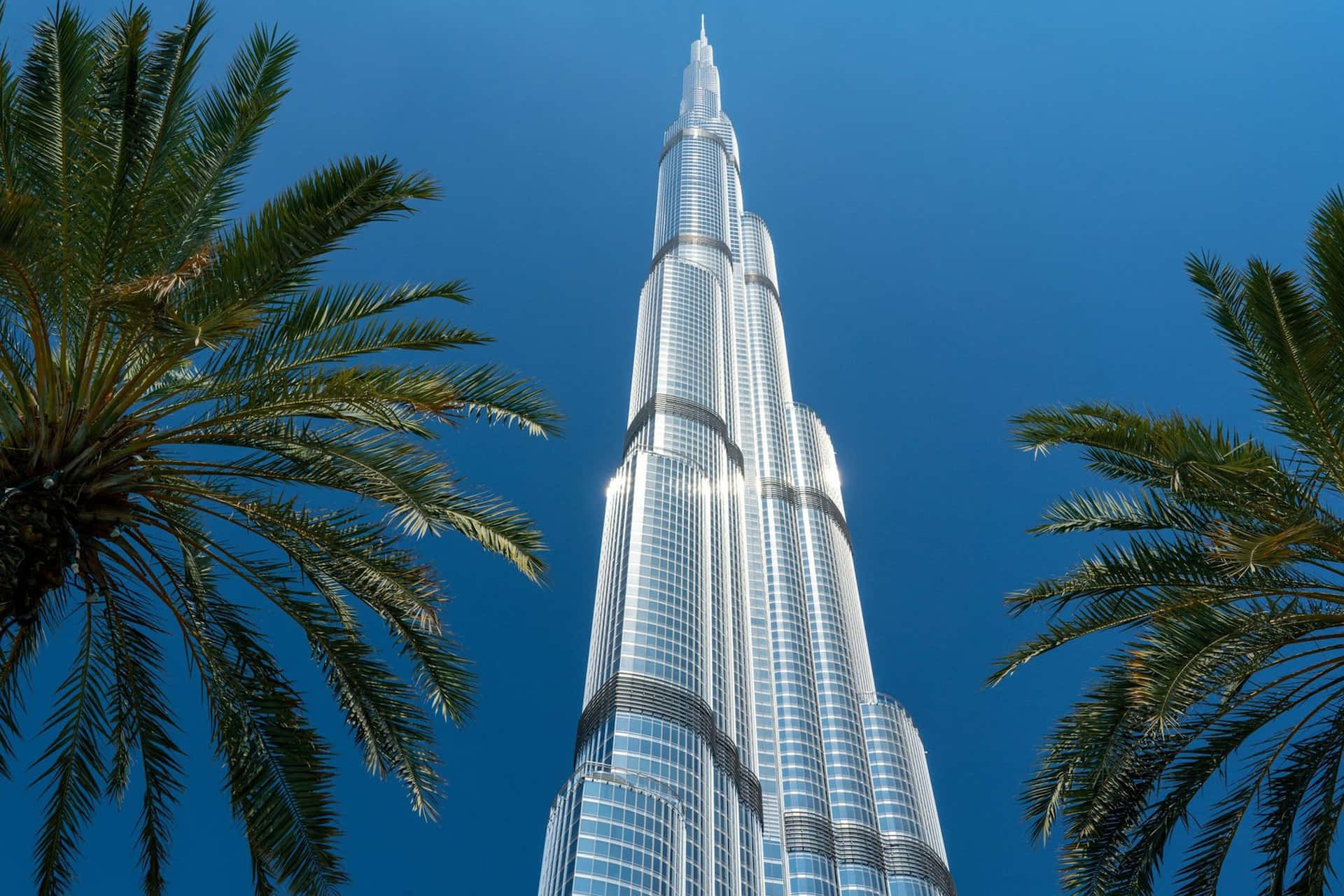 Burj Khalifa 桌布 壁紙 — 低角度觀看哈里發塔刺穿晴朗藍天，周圍環繞著茂密的綠色棕櫚葉。