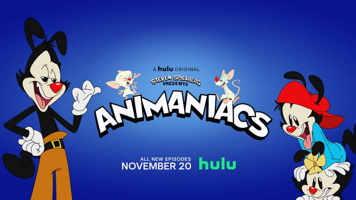 Animaniacs 桌布 壁紙 — 來自《Animaniacs》的經典卡通角色在純藍色背景前愉快地擺姿勢，背景上顯示節目名稱和 Hulu 品牌標誌。