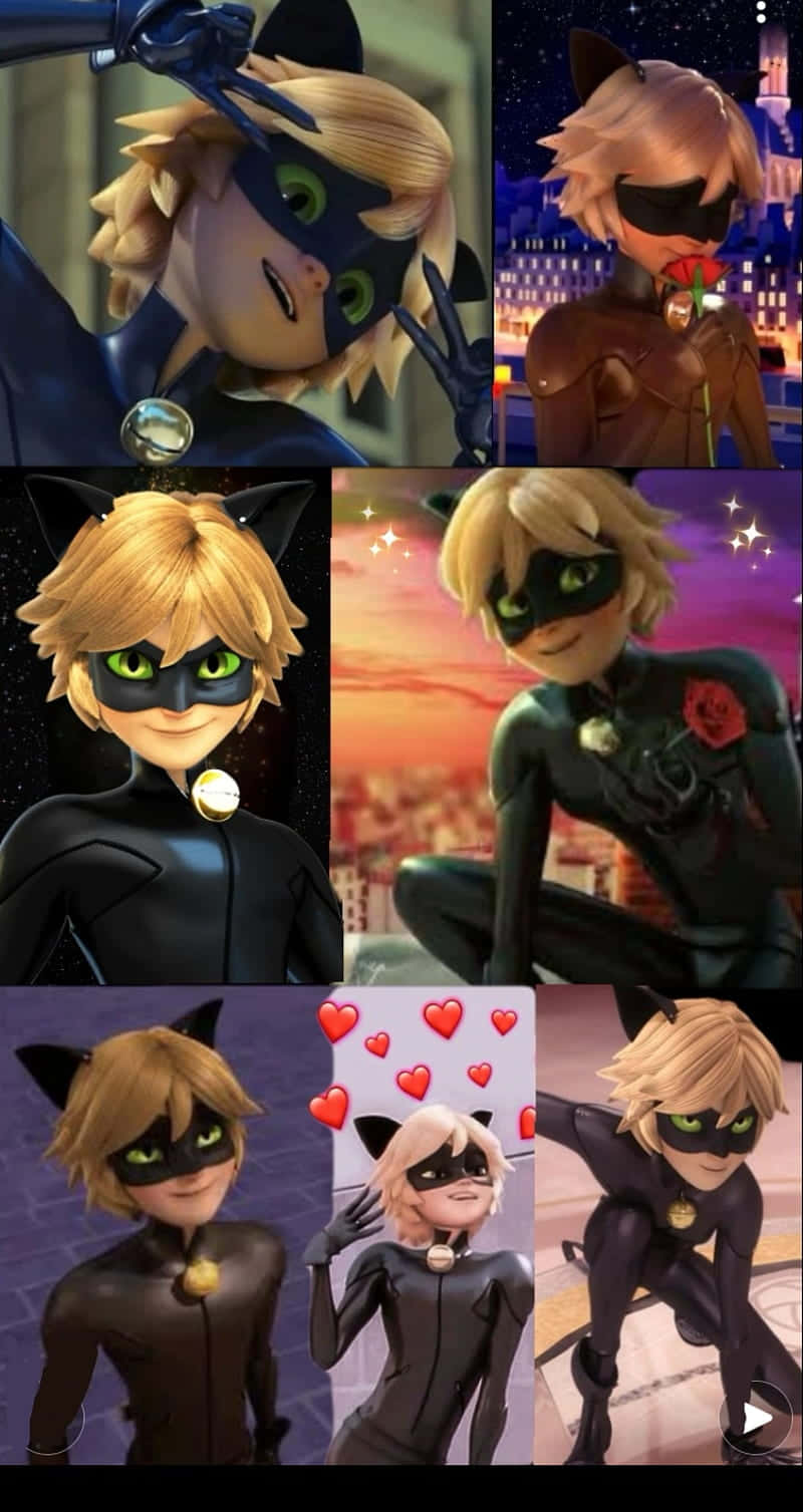 高清 桌布 壁紙 — 來自 Miraculous 的 Cat Noir 拼貼畫，展示了他穿著黑色服裝、綠色眼睛和貓耳朵的各種姿勢和表情。
