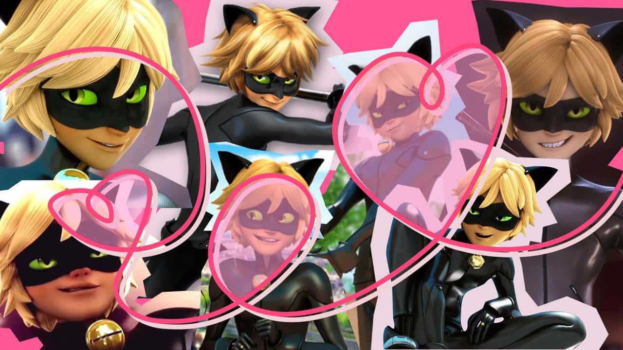 桌面 桌布 壁紙 — 來自《Miraculous》的 Cat Noir 的充滿活力的拼貼畫，具有多種姿勢和表情，並在明亮的粉紅色背景上帶有粉紅色心形輪廓。