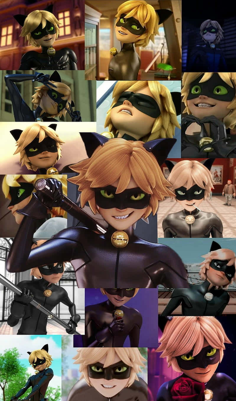 iPhone 桌布 壁紙 — 來自《Miraculous》的 Cat Noir 充滿活力的拼貼畫，展示了他黑色服裝中各種表情和姿勢，並帶有發光的綠色眼睛。