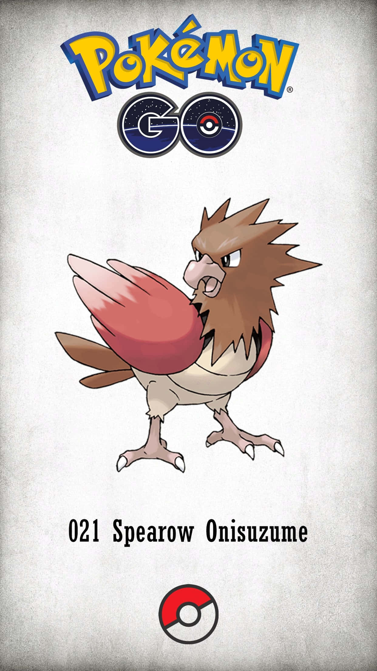 電玩遊戲 桌布 壁紙 — 來自 Pokémon GO 的卡通烈雀在帶有遊戲標誌的紋理灰色背景上警覺地站立。